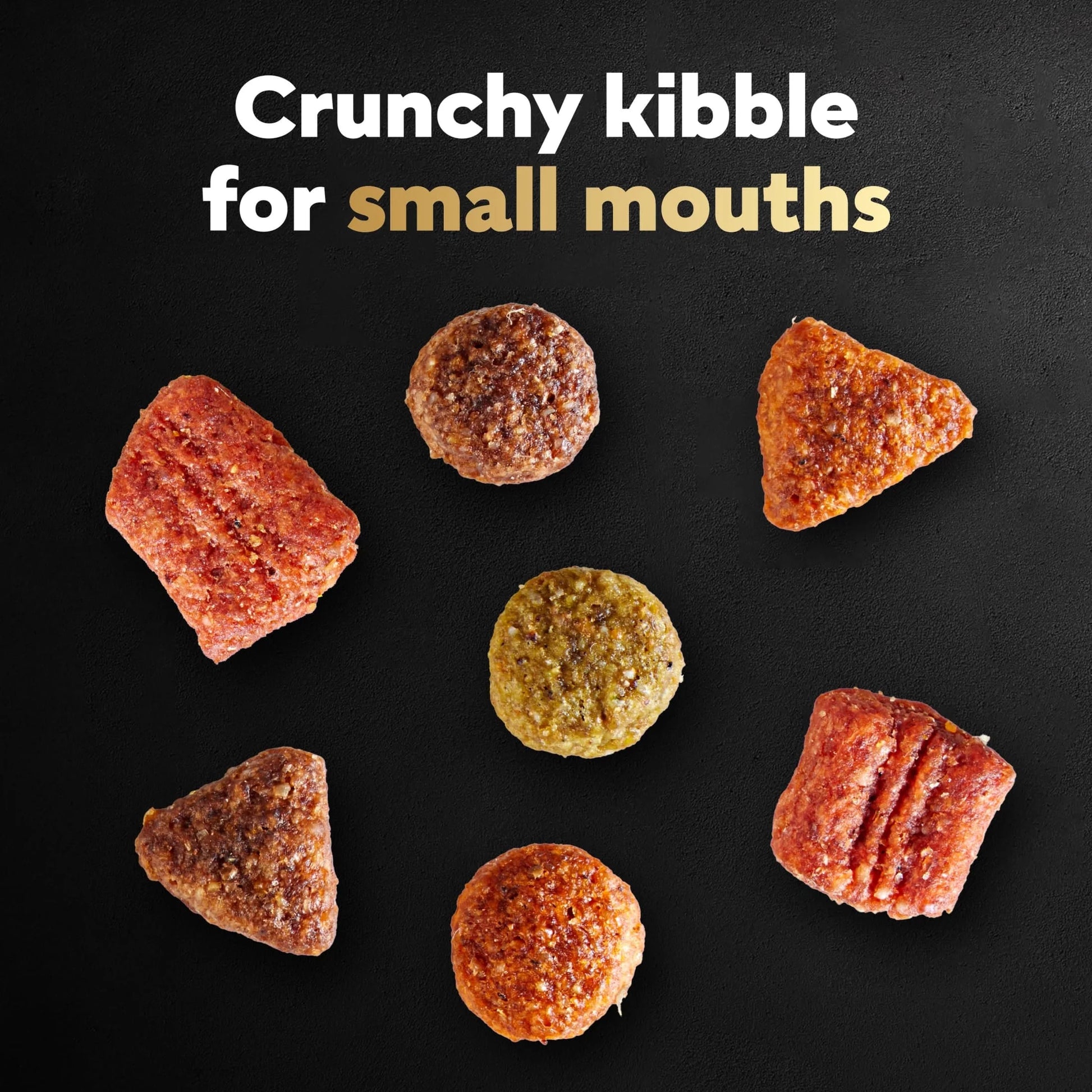 Filet Mignon with Spring Vegetables Dry Dog Food, 5 lb Bag