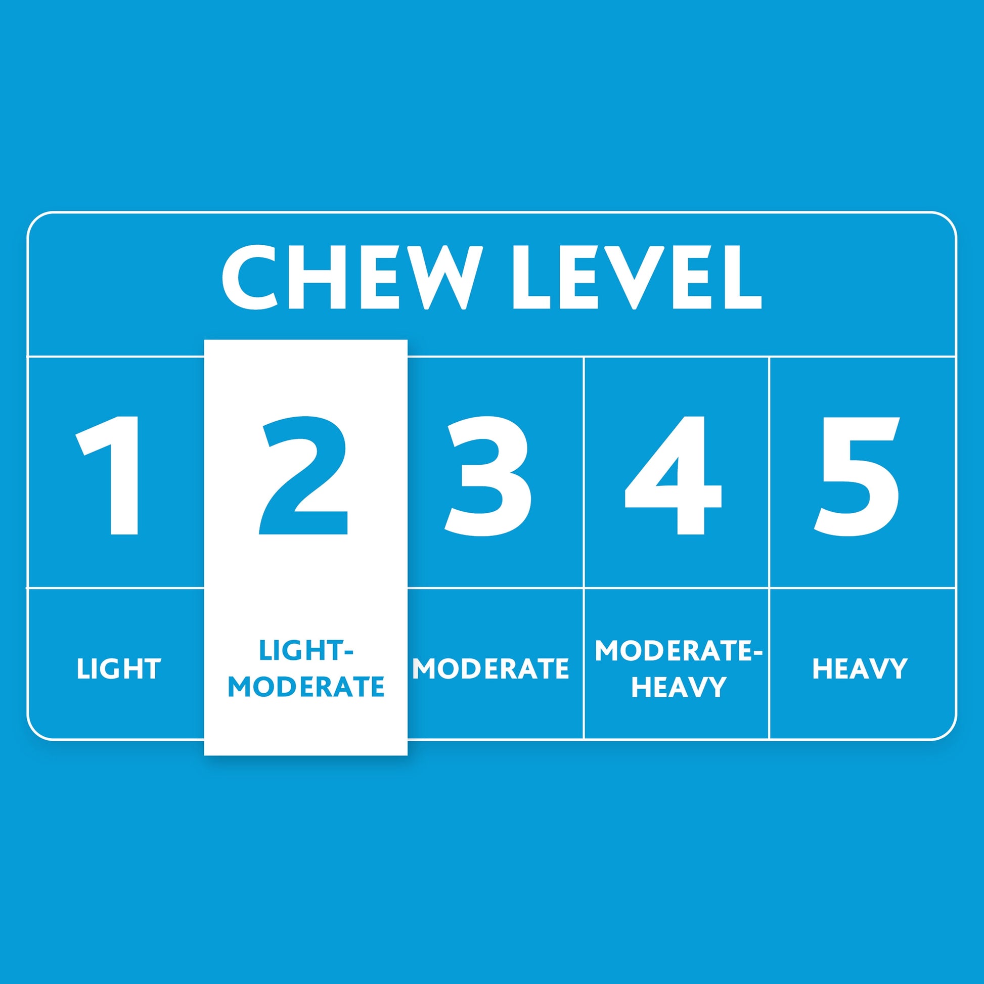 Neon Fetch and Play Buddy Dog Toy, Chew Level 2, 9"