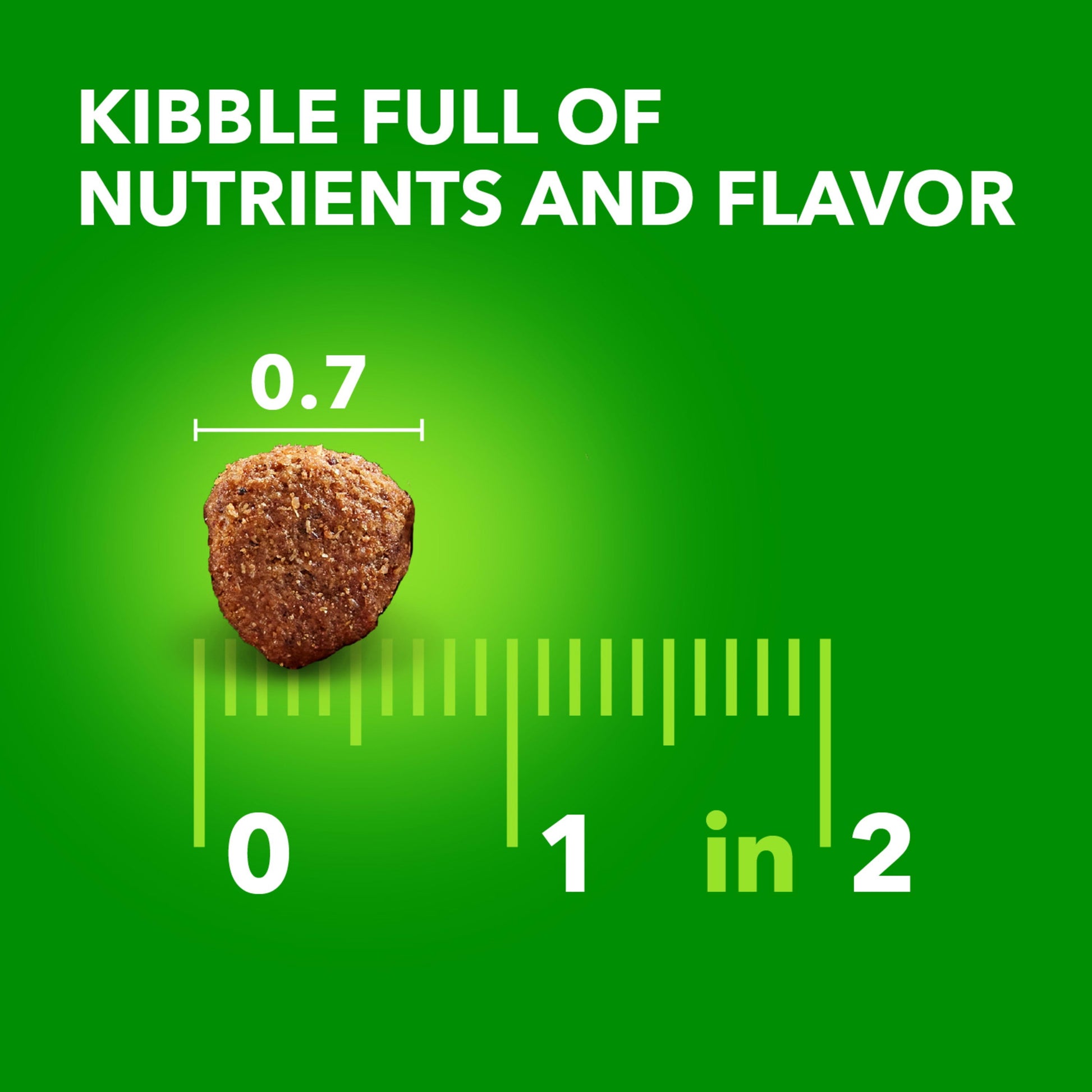 Proactive Health Large Breed Adult Dry Dog Food with Lamb & Rice, 30 lb. Bag