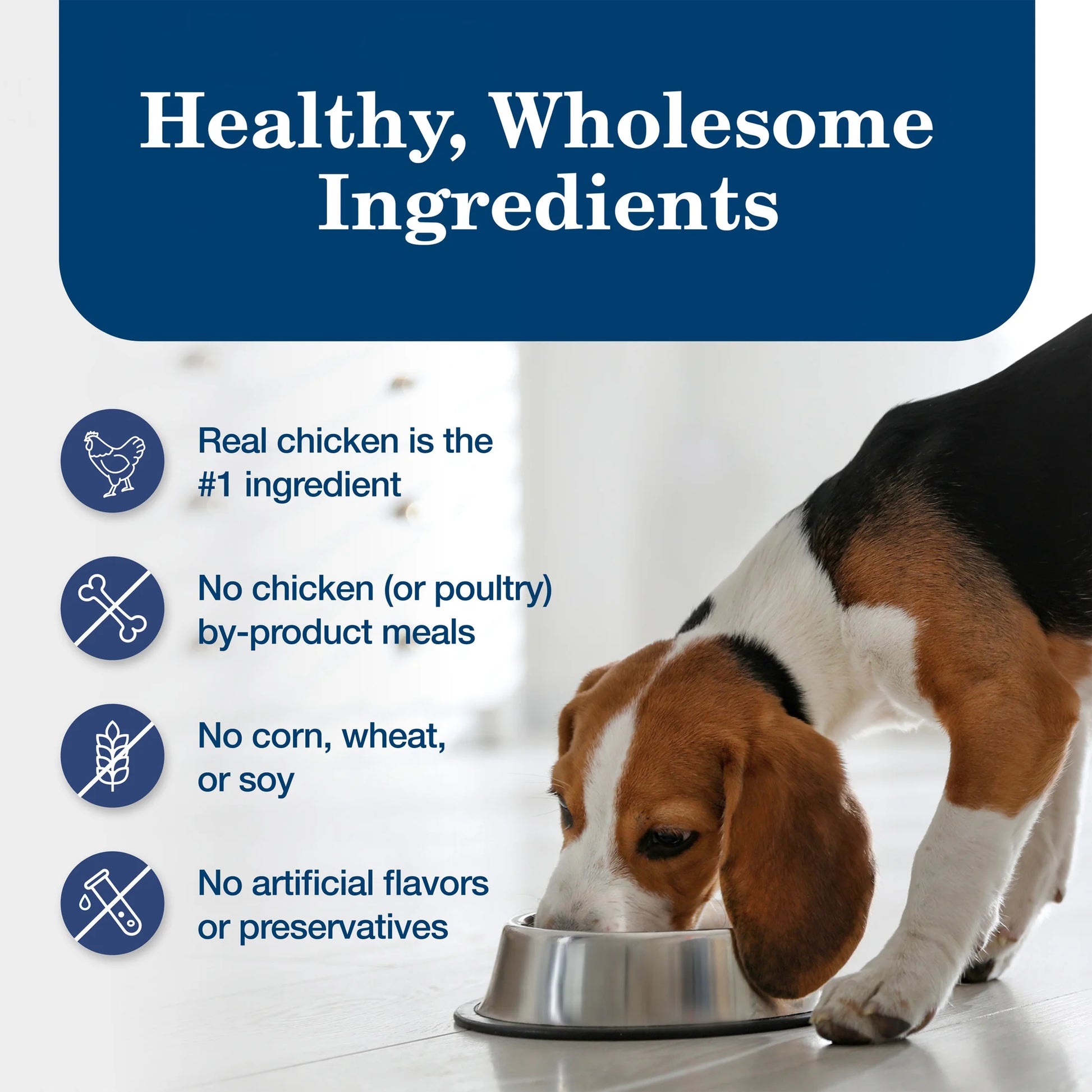 Homestyle Recipe Adult Wet Dog Food, Chicken Dinner, 12.5 oz Can