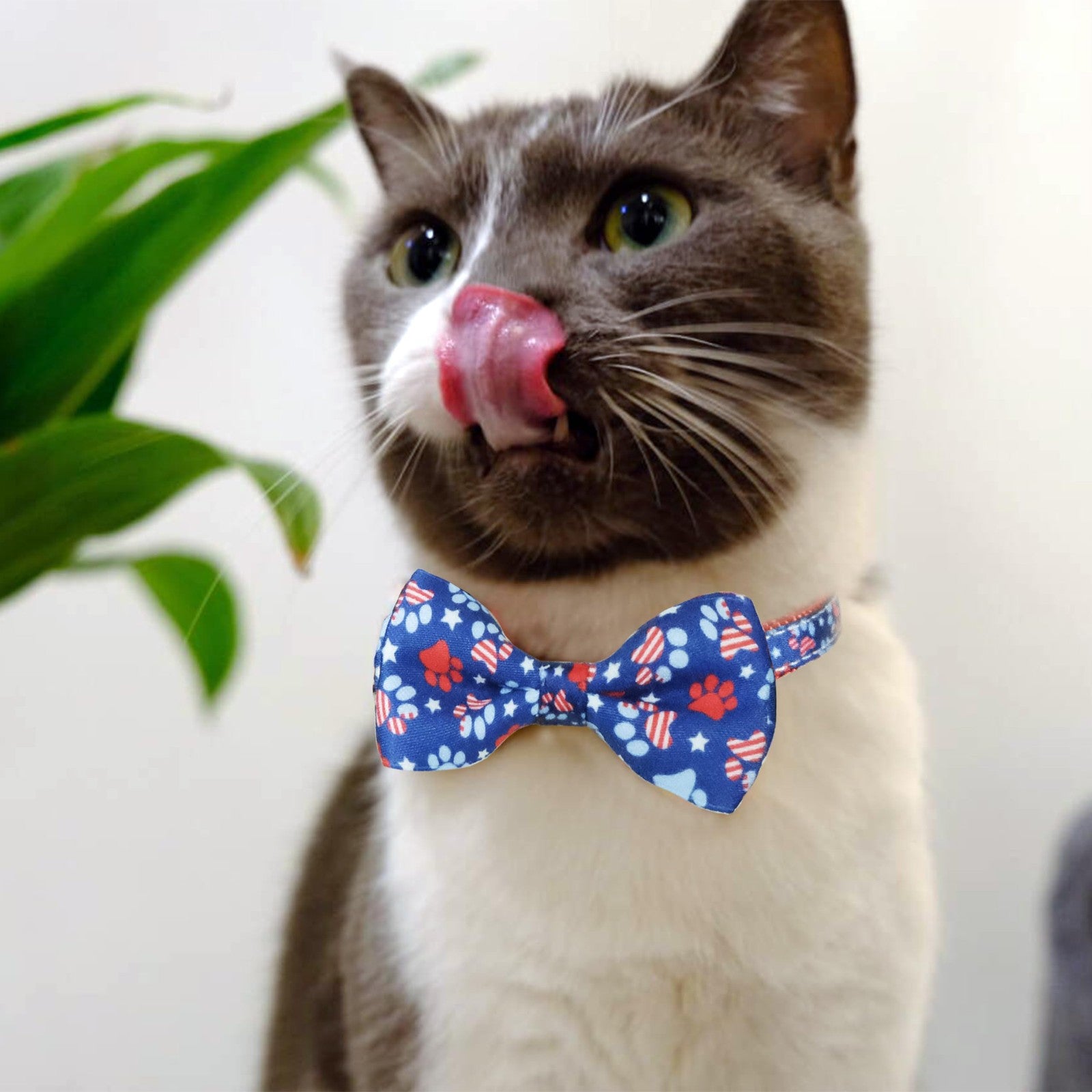 4Th of July Cat Bow Tie Collar with Bell, 2-Pack with American Stars and Pari...