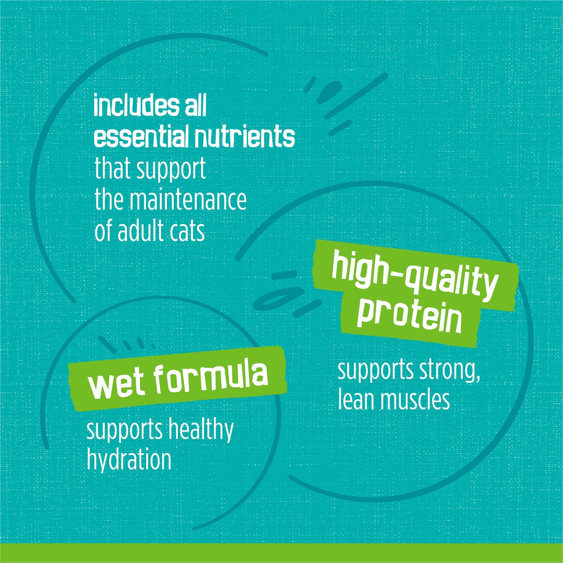 Purina  Sea Captain's Choice Wet Cat Food Pâté, 5.5 oz Can