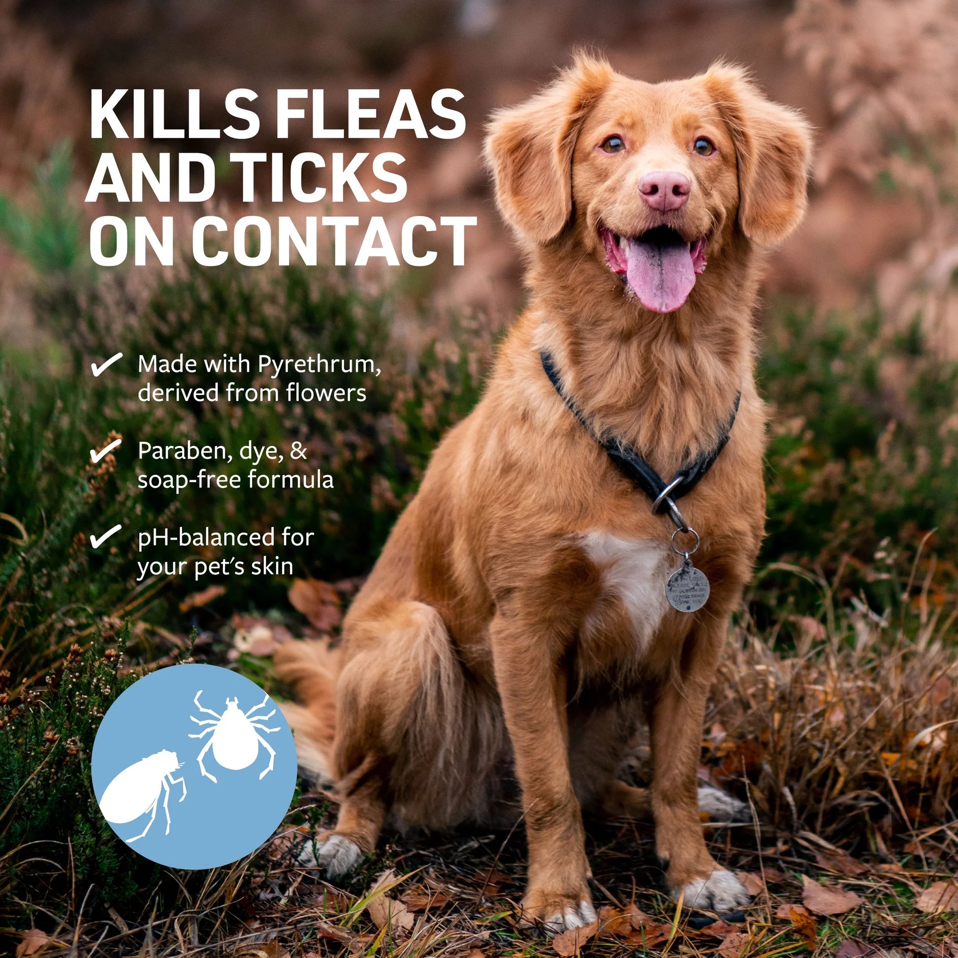 Clinical Care Flea & Tick Shampoo for Dogs and Cats, 16 Fl Oz