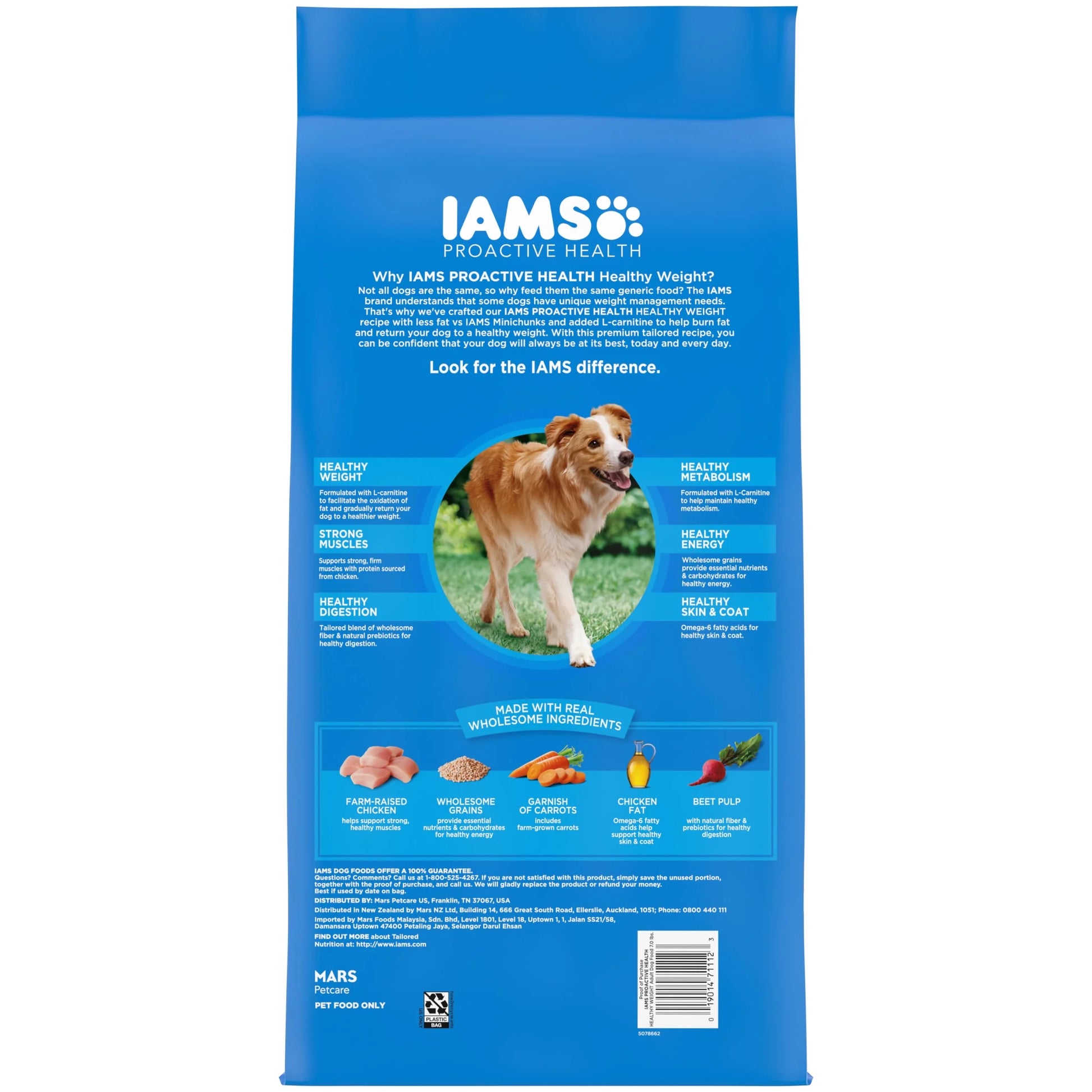 Adult Healthy Weight Control Dry Dog Food with Real Chicken, 7 lb.