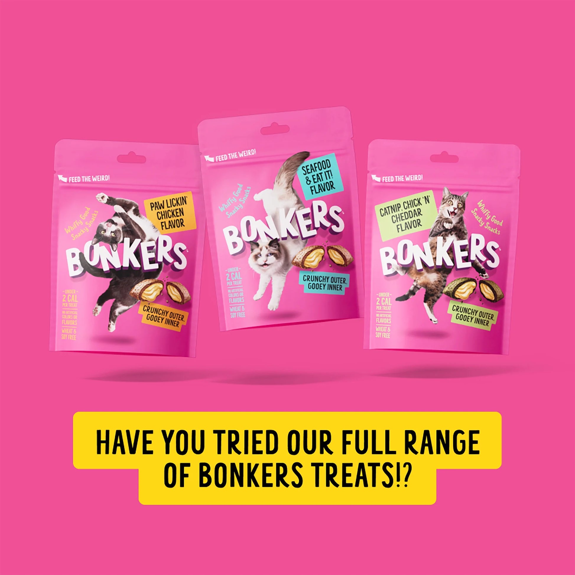 Cat Bites - Catnip & Chick 'N' Cheddar Flavor, Crunchy and Soft Cat Treats, 3 Oz Bag