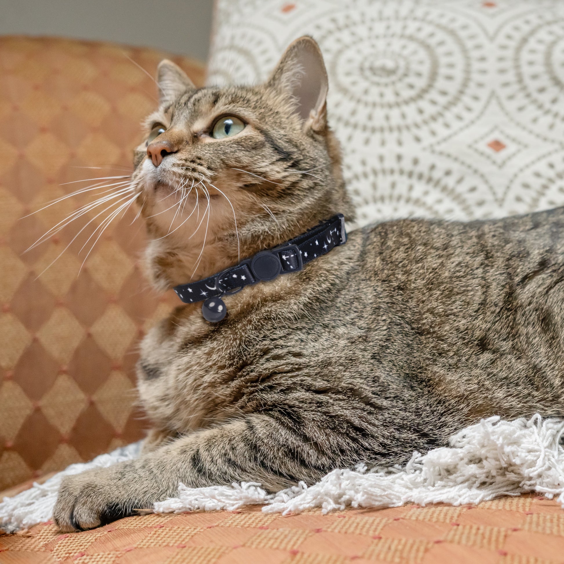 Celestial Print Breakaway Cat Collar in Blue, One Size Fits Most