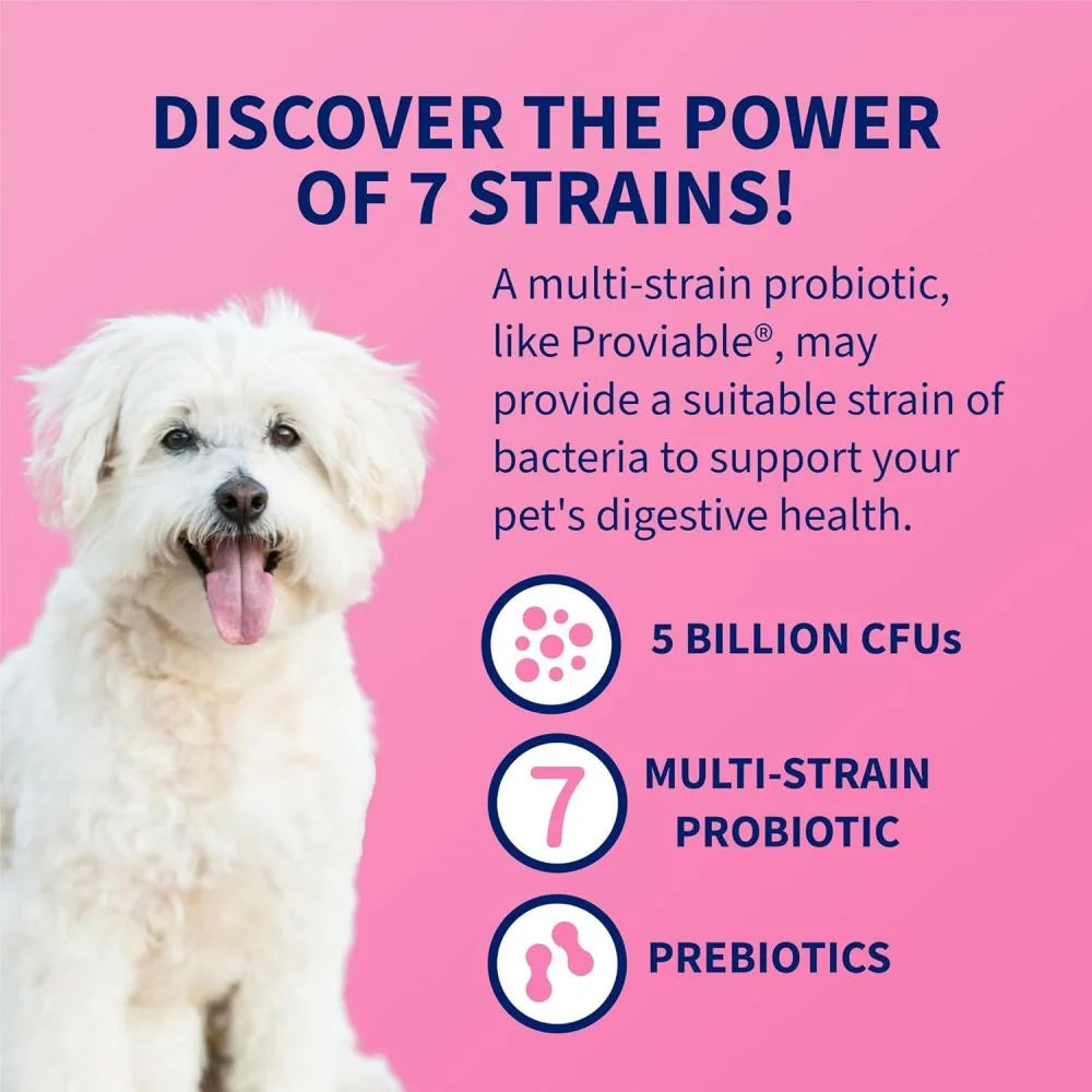Proviable Digestive Health Supplement DC Capsules for Cats and Dogs, 80 Count