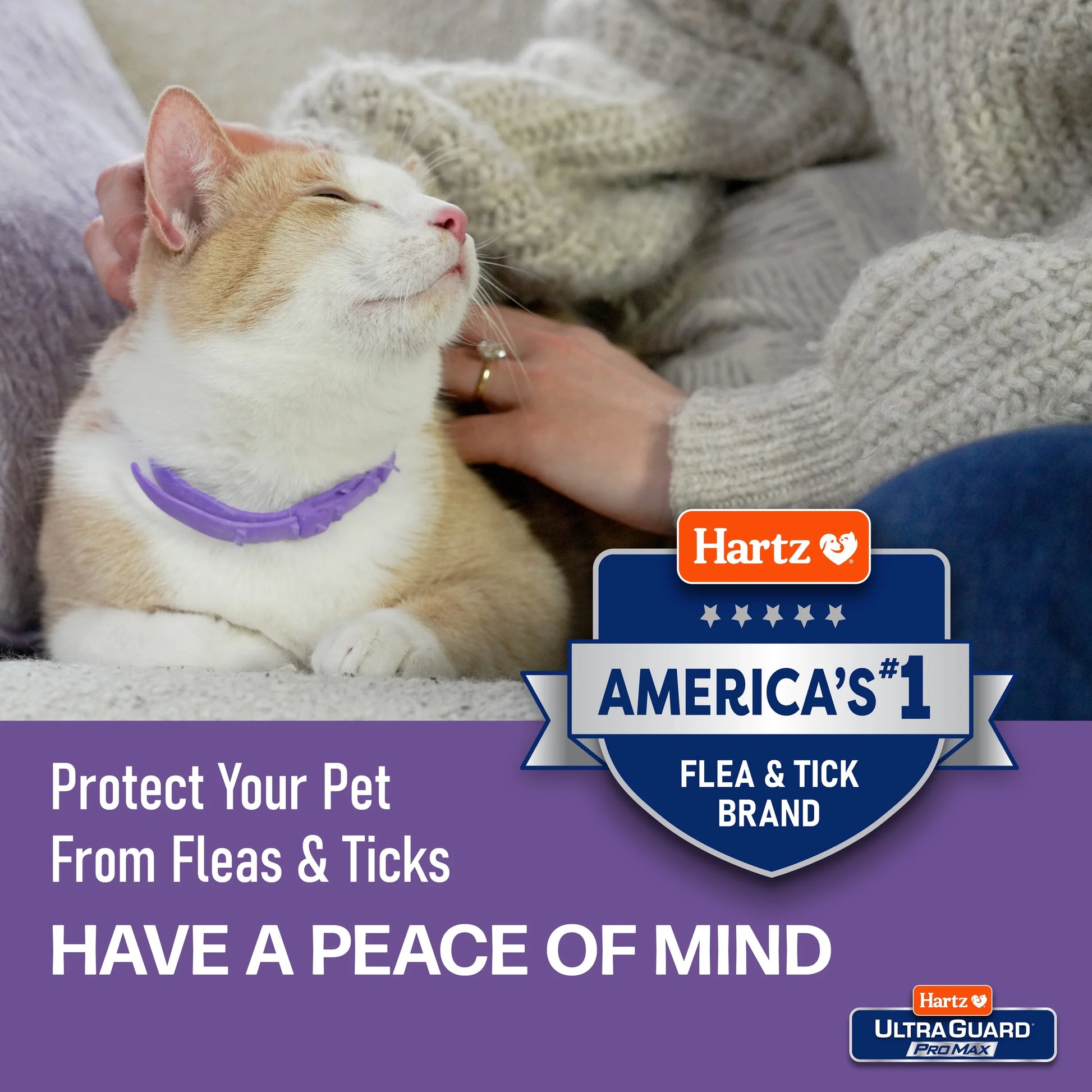 Ultraguard Promax Flea and Tick Collar for Cats and Kittens with Comfort Technology, 2-Pack