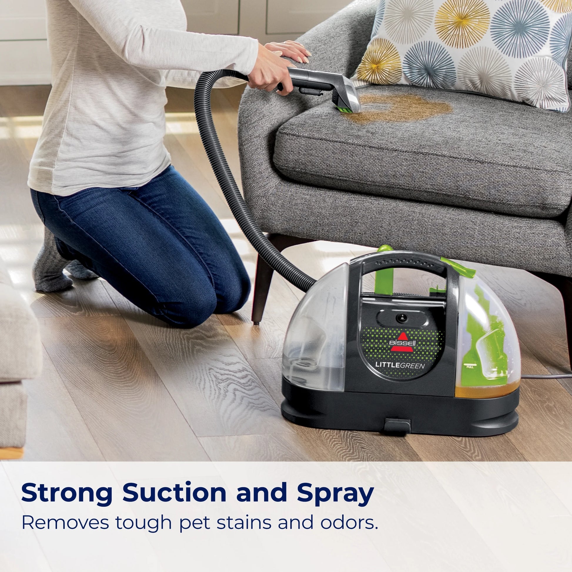 Little Green Portable Carpet Cleaning System, Model 3369