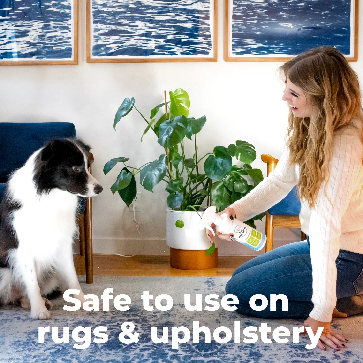 Extra Strength Pet Odor Eliminator Spray - Fragrance-Free, Non-Toxic Formula for Immediate Odor Removal in Homes and Vehicles, Endorsed by Veterinarians, 16 Oz