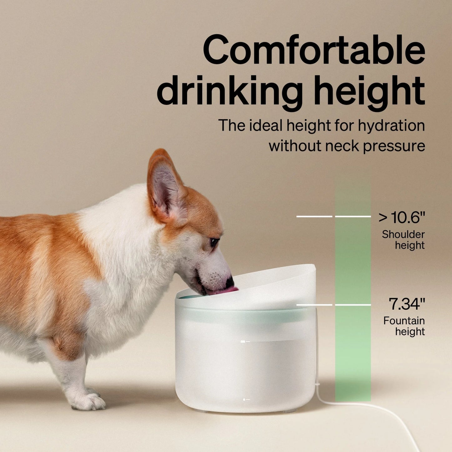270 Oz (2.1 Gal / 8 L) Capsule Dog Water Fountain – Splash-Resistant and Ultra-Quiet Dispenser for Medium to Large Dogs, Perfect for Multi-Pet Households