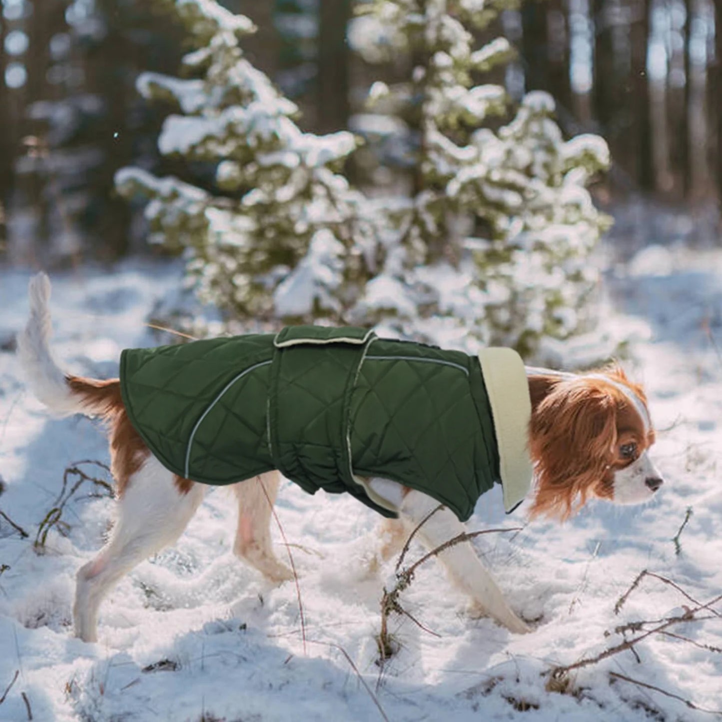 Winter Dog Coat - Warm Jacket for Small, Medium, and Large Dogs in Green, Size M