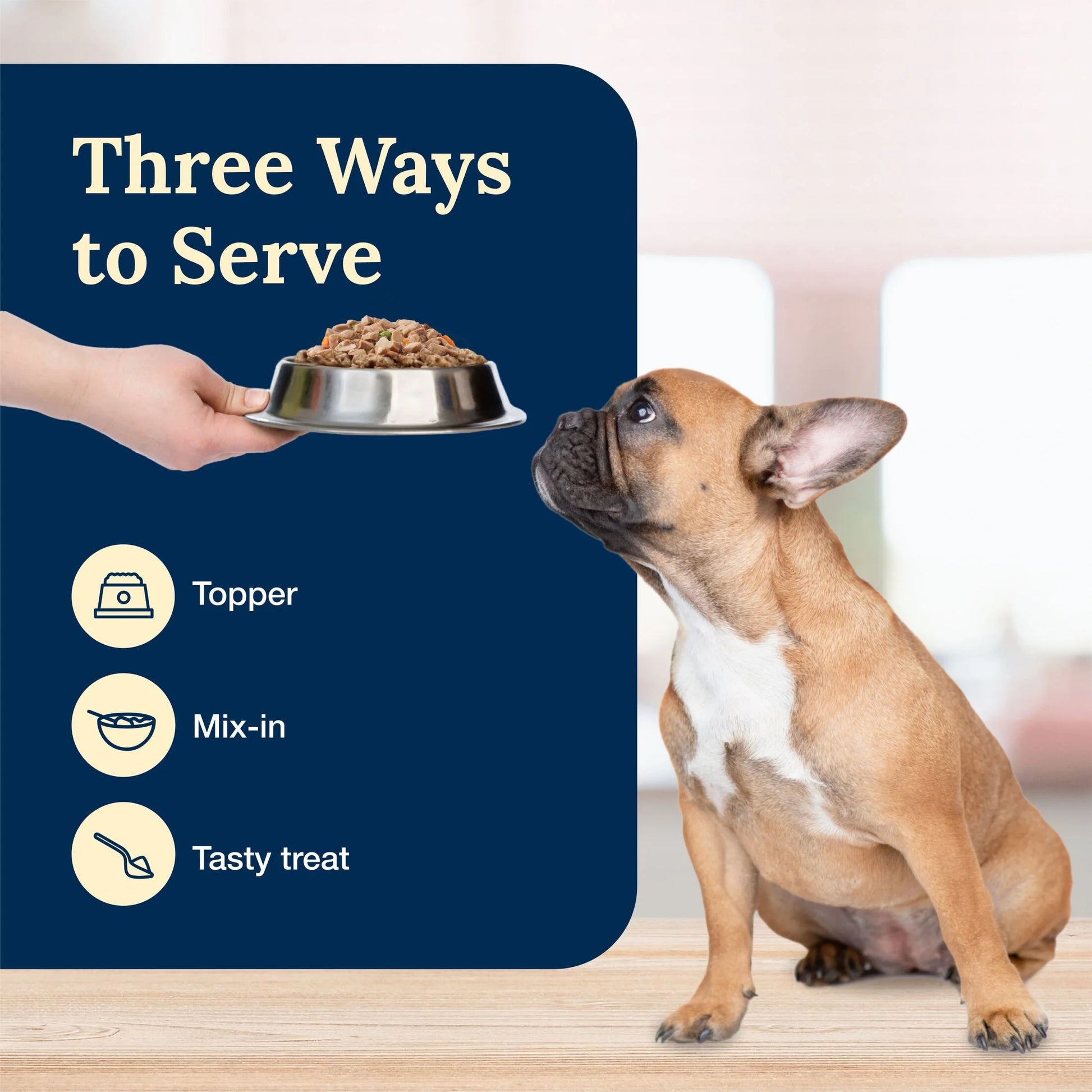 Delectables Natural Wet Dog Food Topper, Lamb Flavor, 3 oz