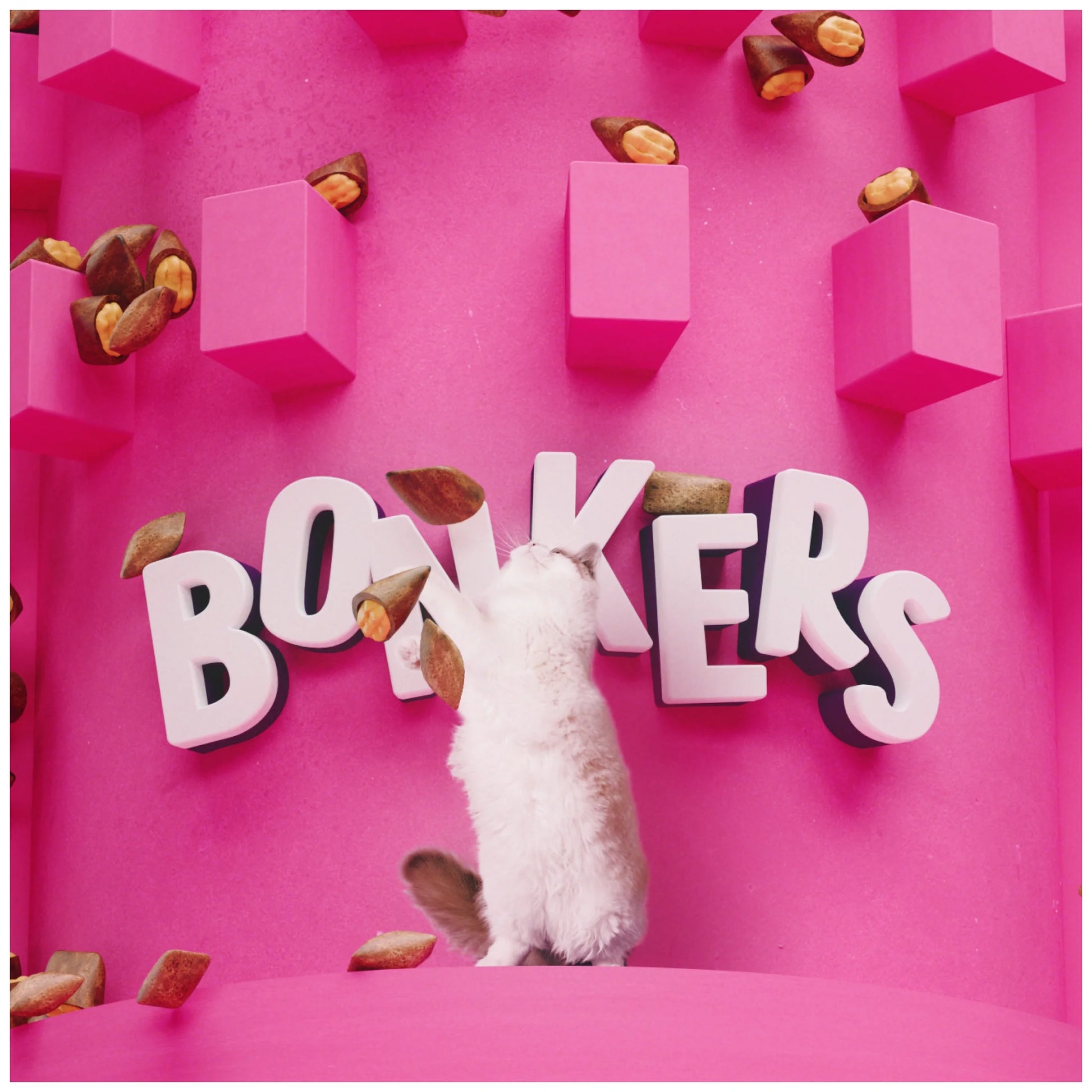 Cat Bites - Catnip & Chick 'N' Cheddar Flavor, Crunchy and Soft Cat Treats, 3 Oz Bag