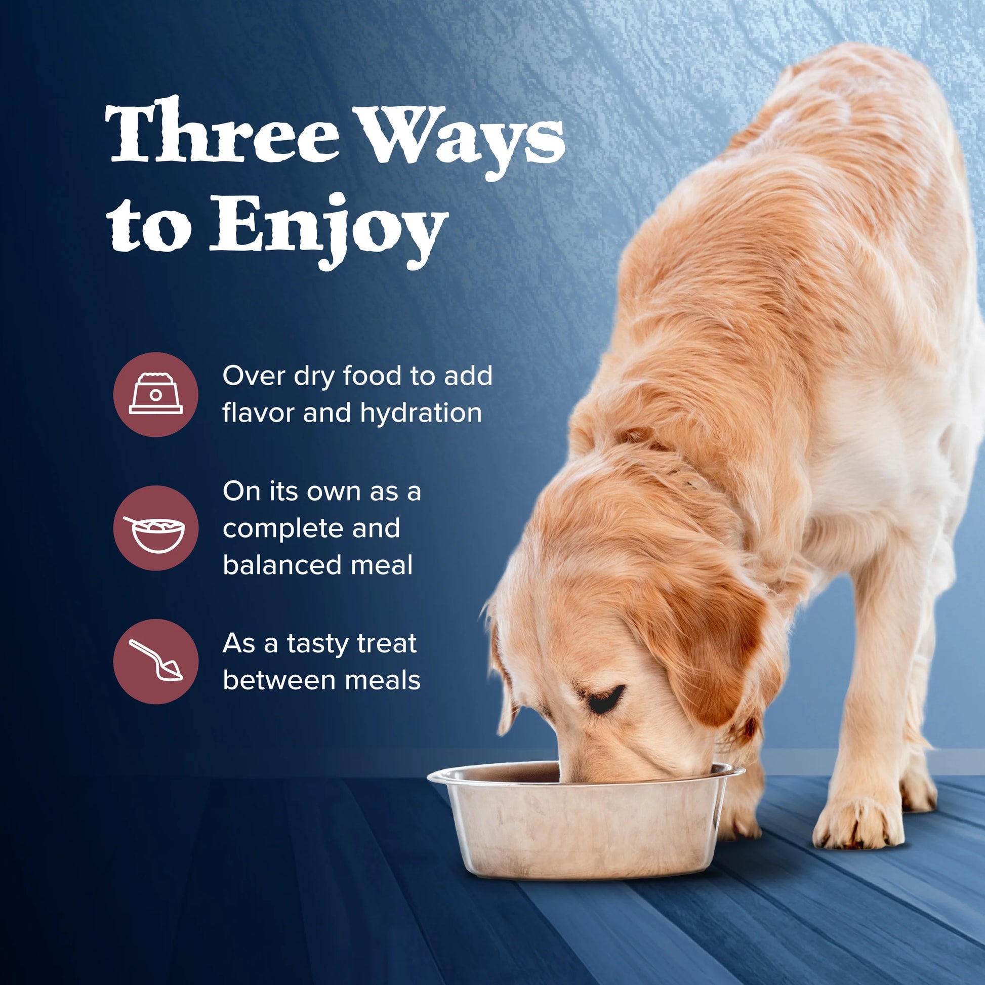 Wilderness Adult Wet Dog Food, Salmon & Chicken Grill, 12.5-Oz. Can (Pack of 6)