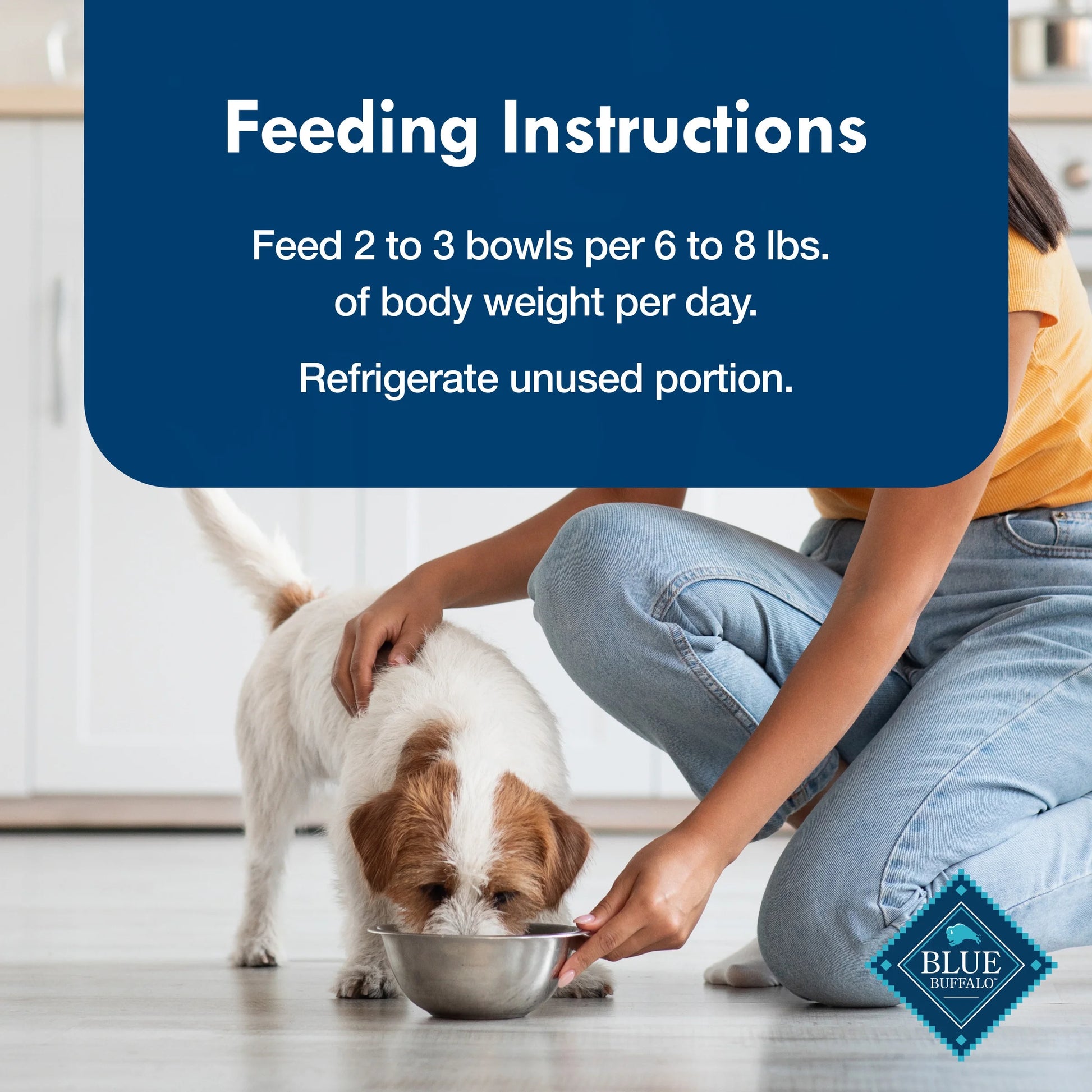 Delights Small Breed Wet Dog Food Variety Pack - Filet Mignon & New York Strip Flavors