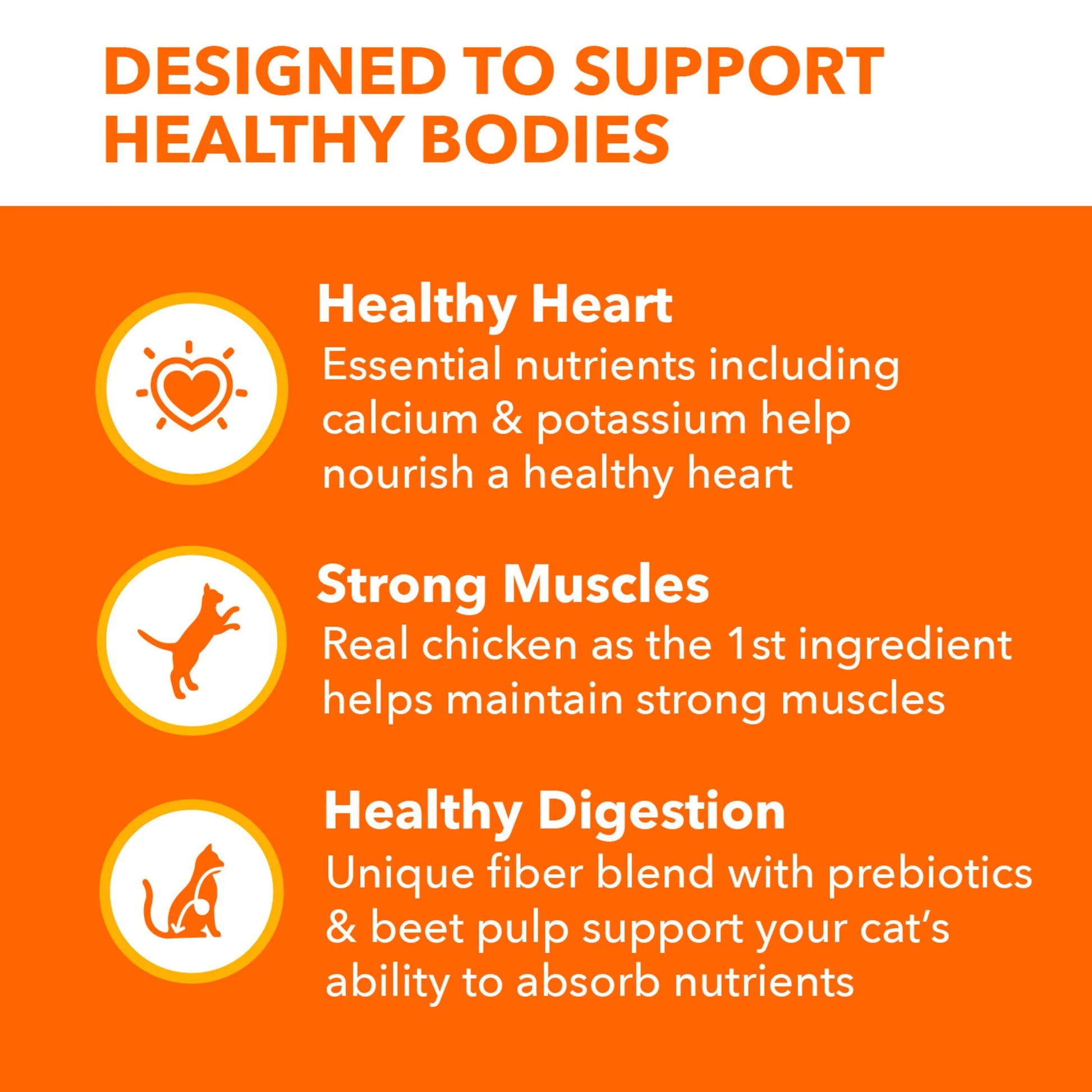 Proactive Health Chicken Dry Cat Food, 7 lb. Bag