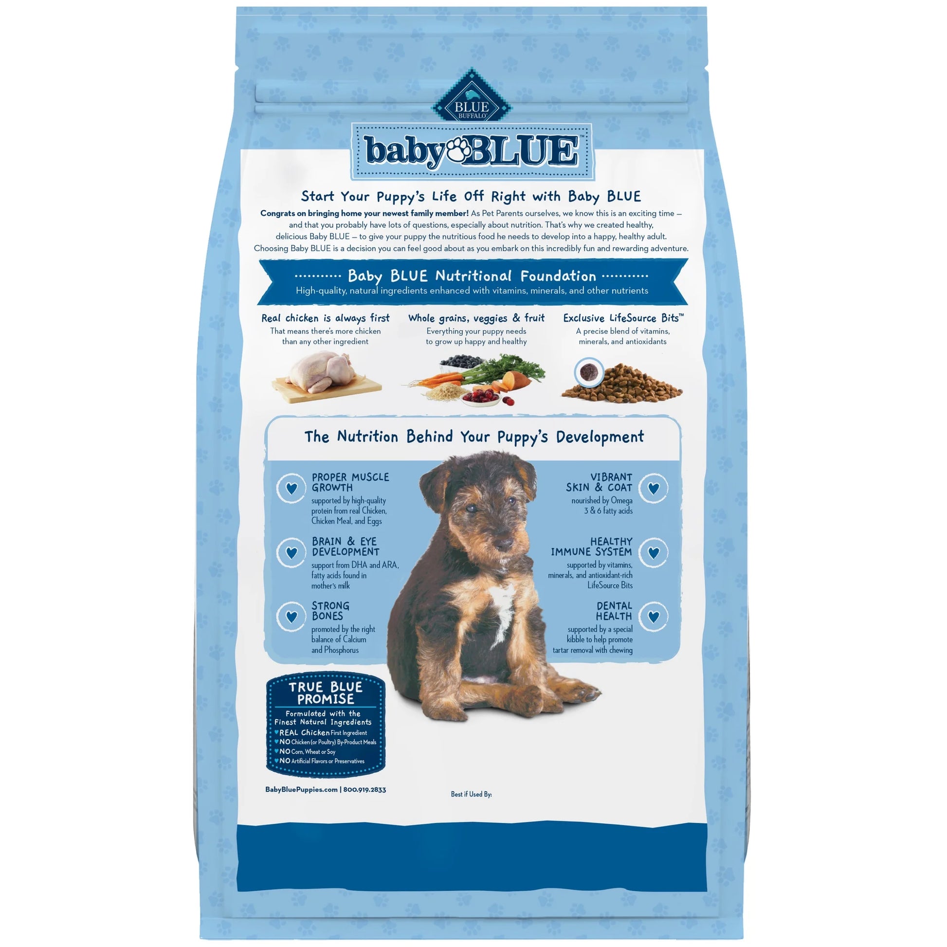 Baby BLUE Healthy Growth Puppy Dry Food with Chicken, 4 lb Bag