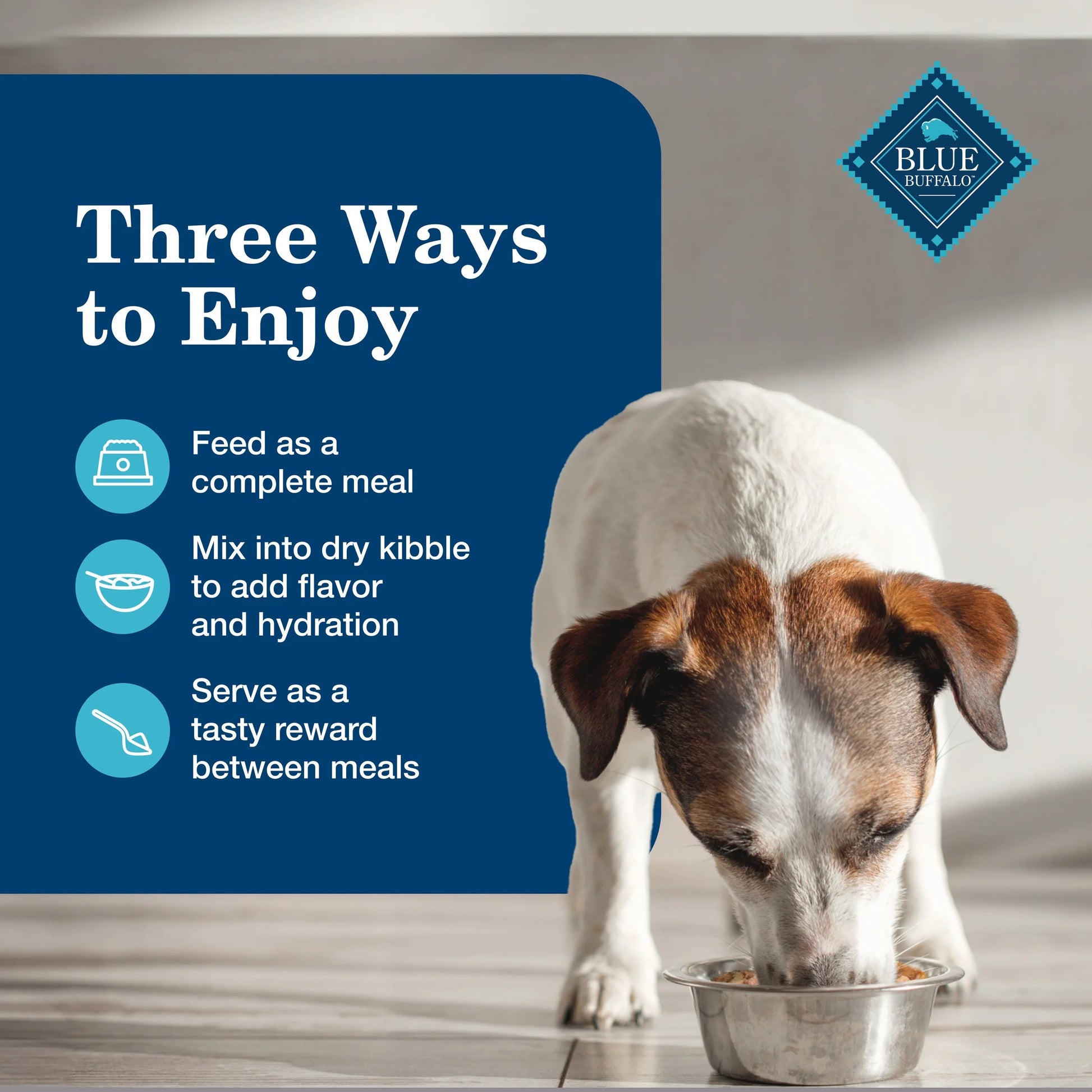 Homestyle Recipe Senior Wet Dog Food Variety Pack, Natural Ingredients, Beef and Chicken Dinner, 12.5-Oz Cans (3 of Each Flavor)