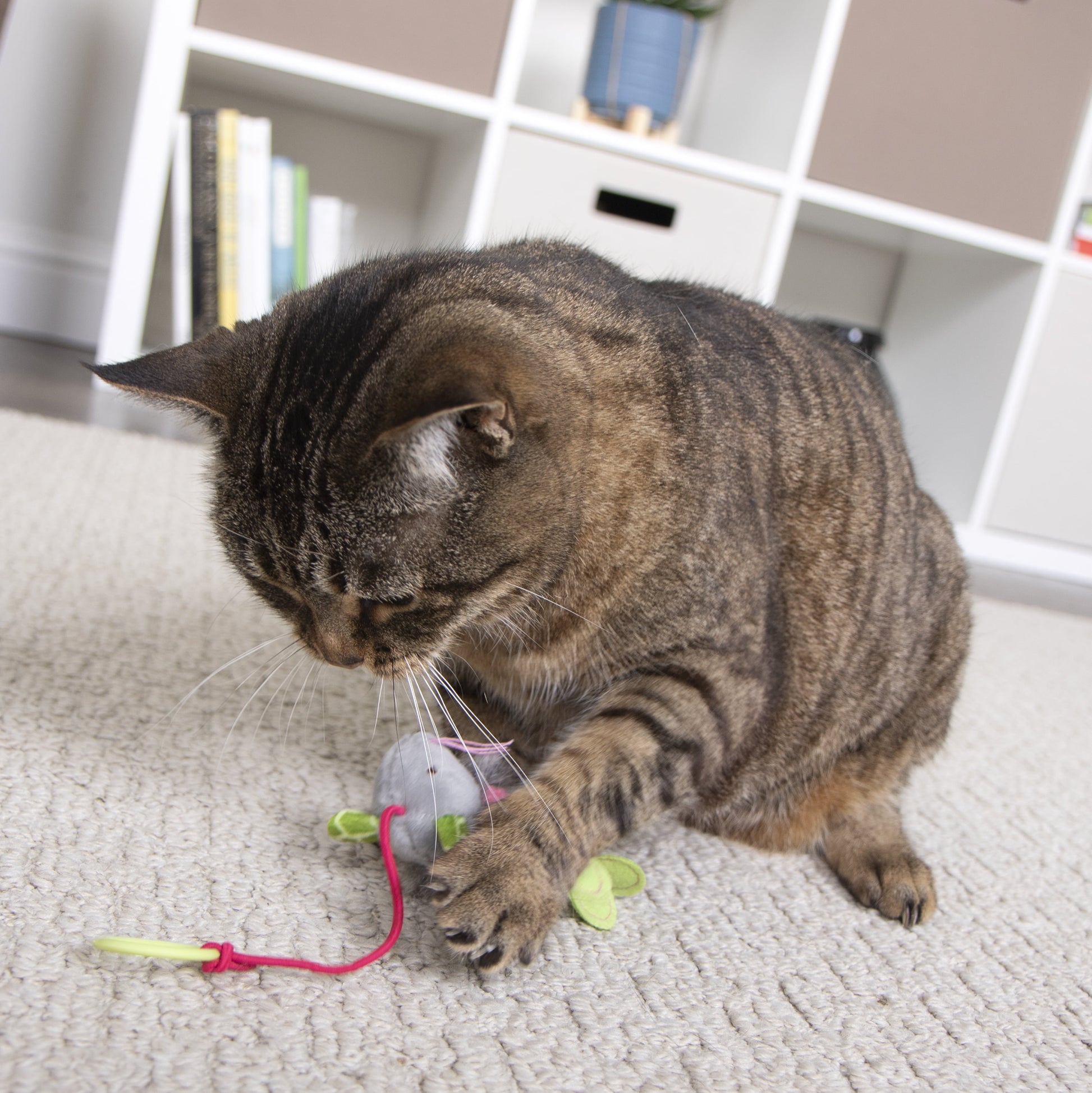 Bouncy Mouse Interactive Bungee Cat Toy