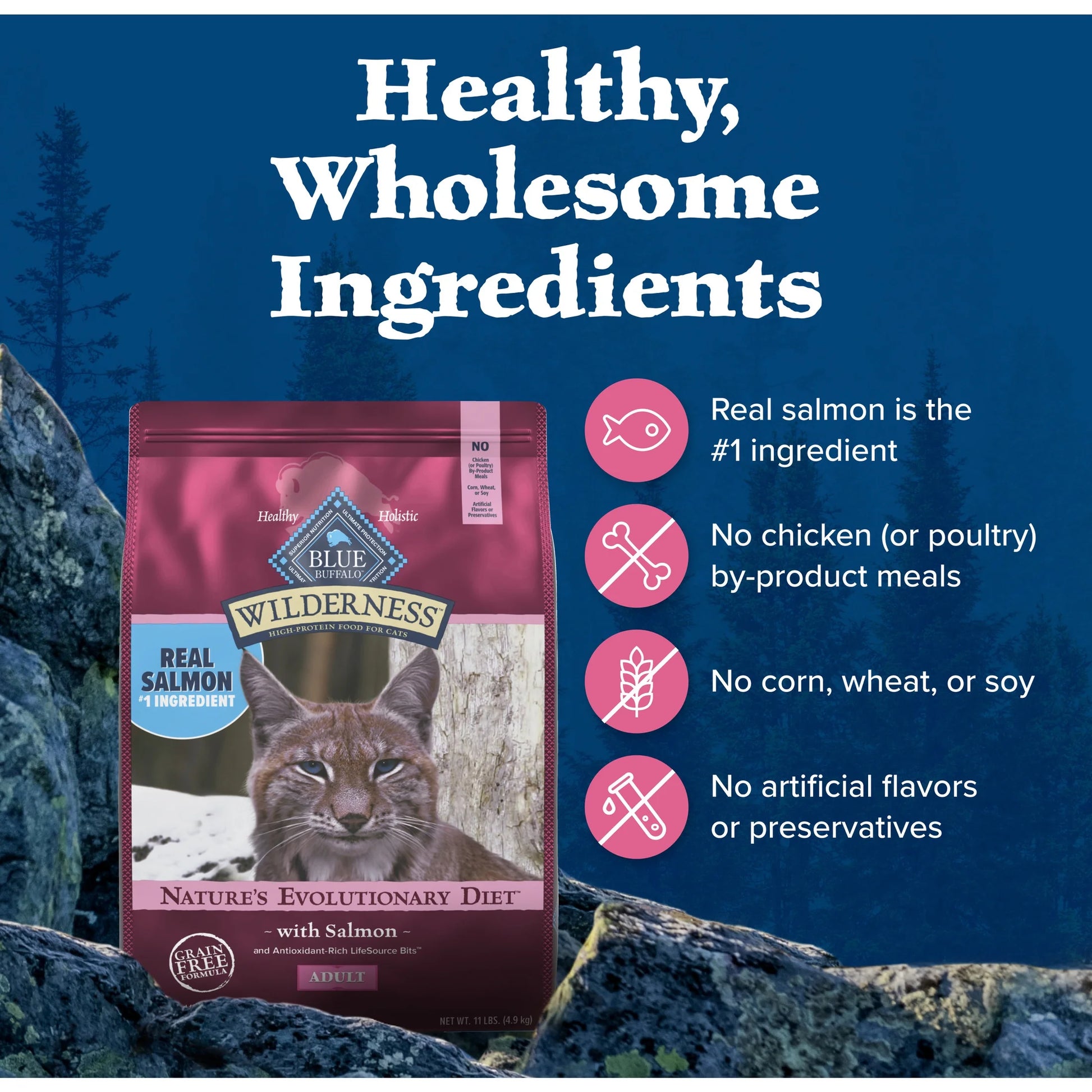 Wilderness Natural High Protein Dry Food for Adult Cats, Salmon, 11-Lb Bag