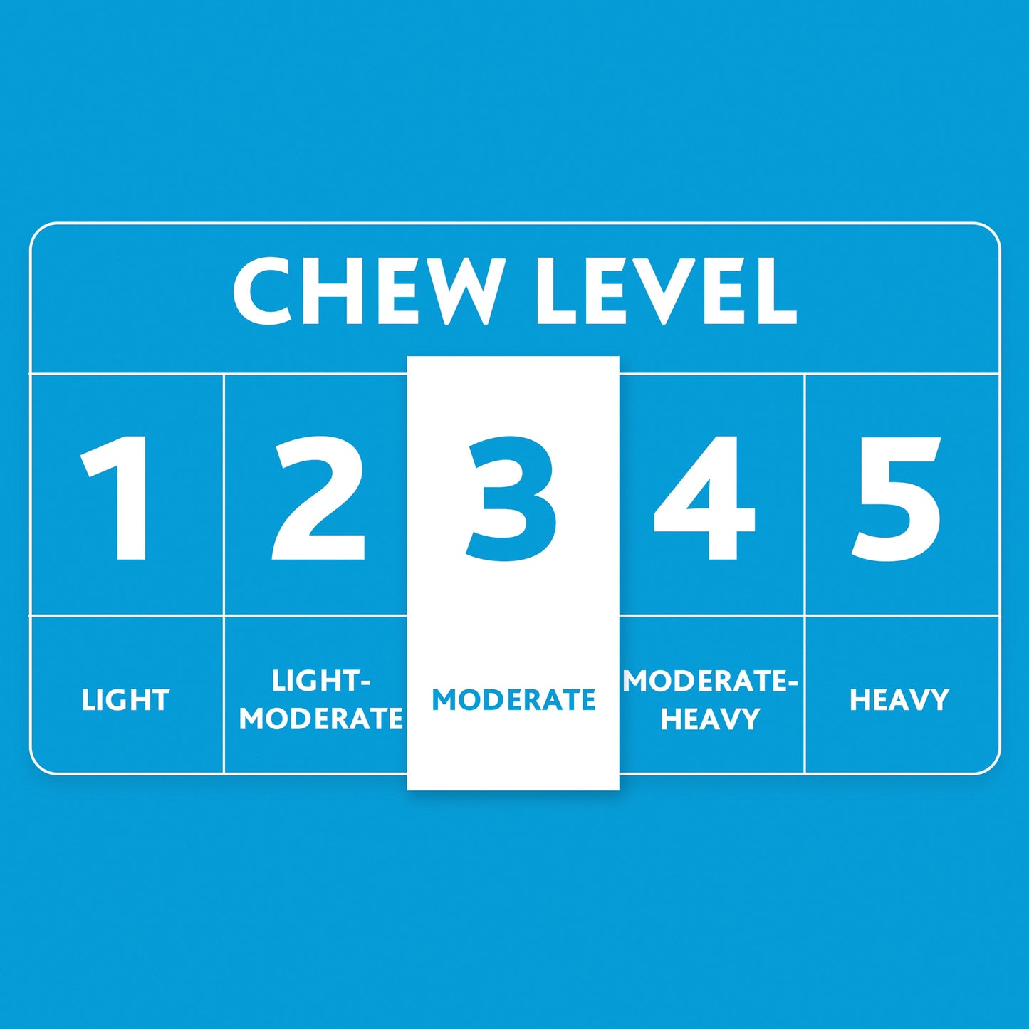 Plush Dog Toys, Donkey