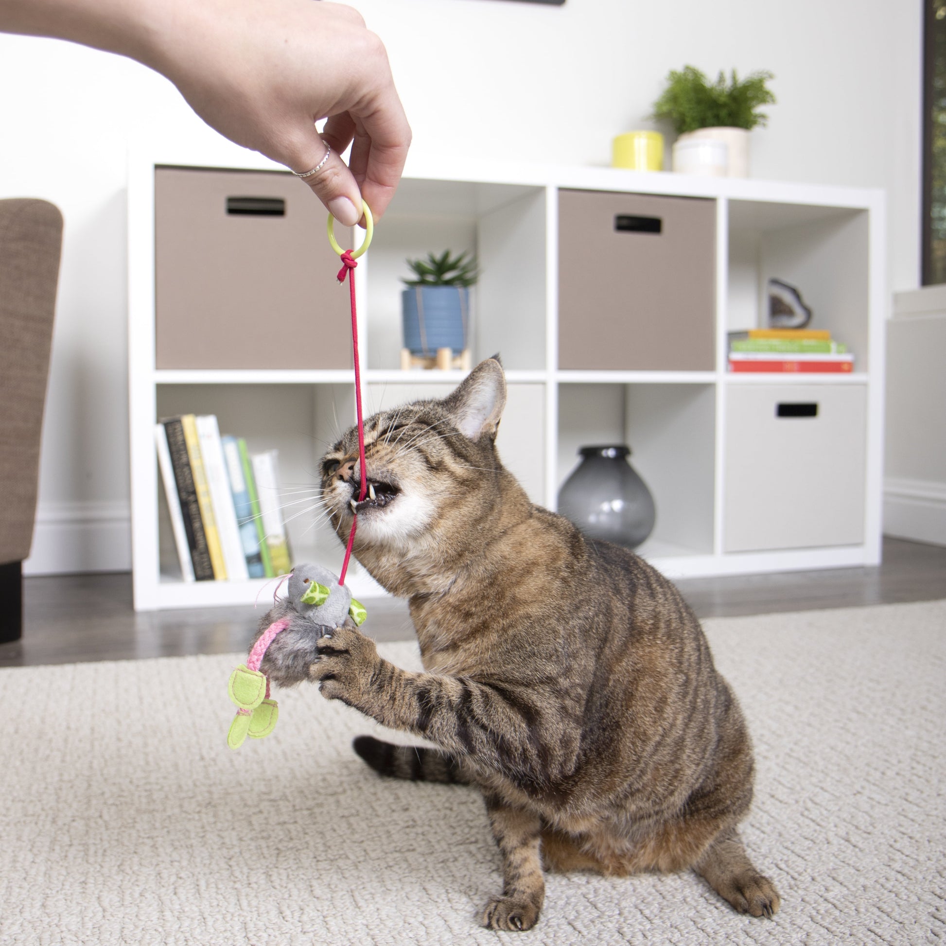 Bouncy Mouse Interactive Bungee Cat Toy