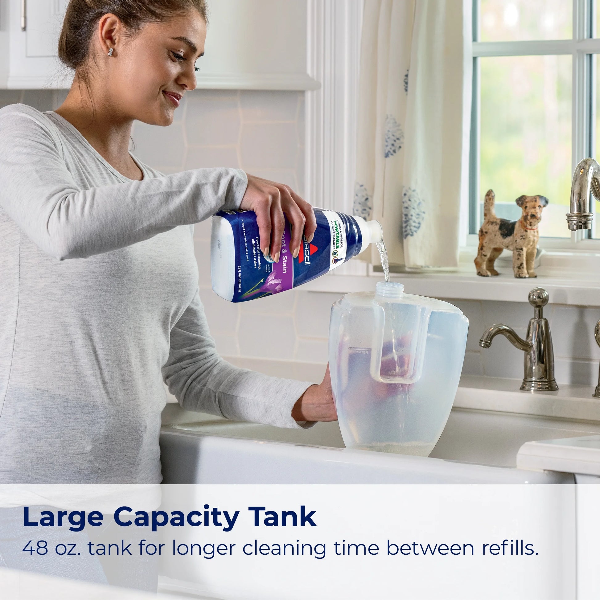 Little Green Portable Carpet Cleaning System, Model 3369