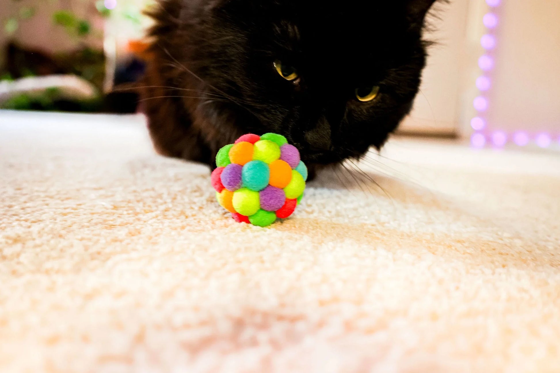 (6 Pack)  Pom Pom Cat Toy, Assorted Colors