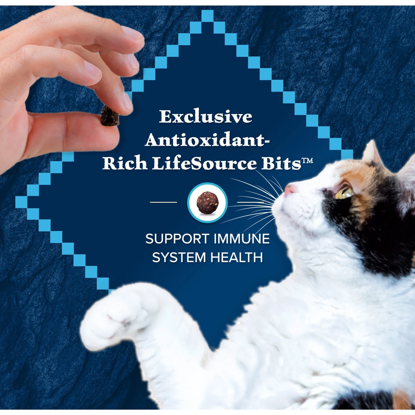 Wilderness Natural High Protein Dry Food for Adult Cats, Salmon, 11-Lb Bag