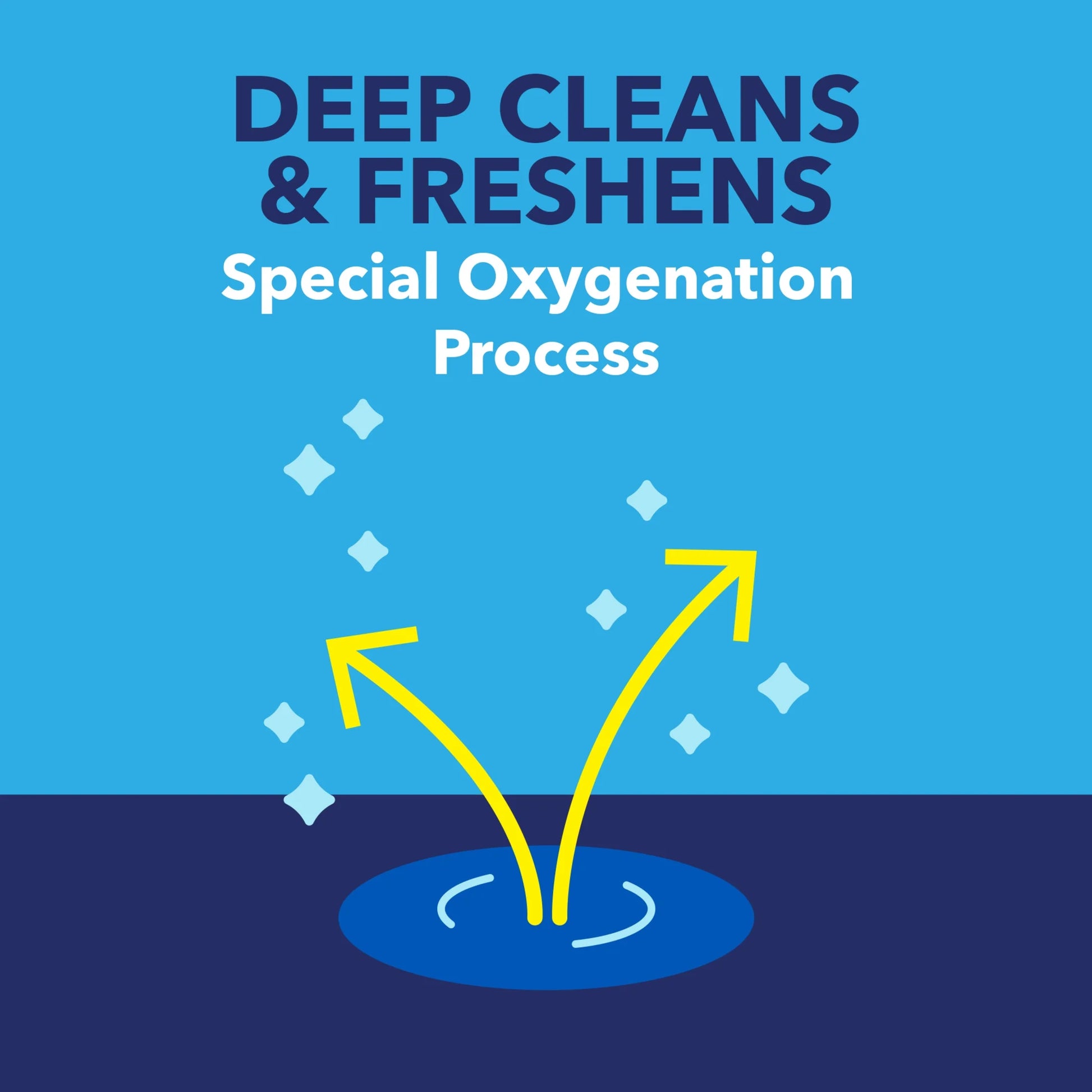 Pet Stain and Odor Remover Spray for Carpets and Rugs, 24 Fl Oz