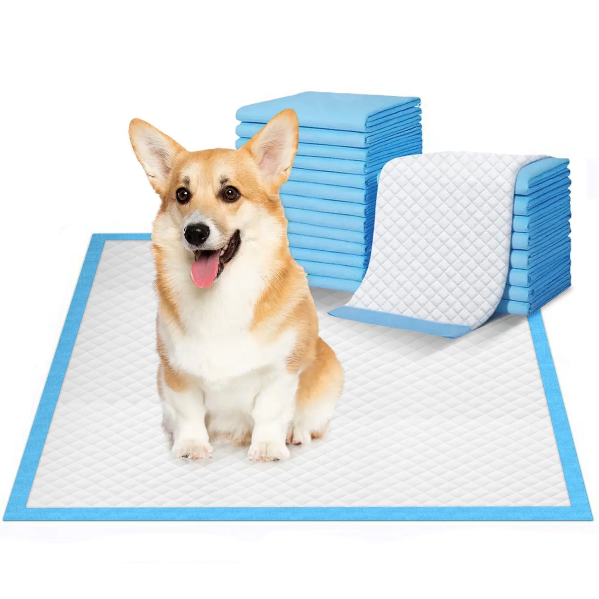 Training Pads, Dog & Puppy Pads,S, 13X18 In,100 Count,Disposable Dog Pee Pads