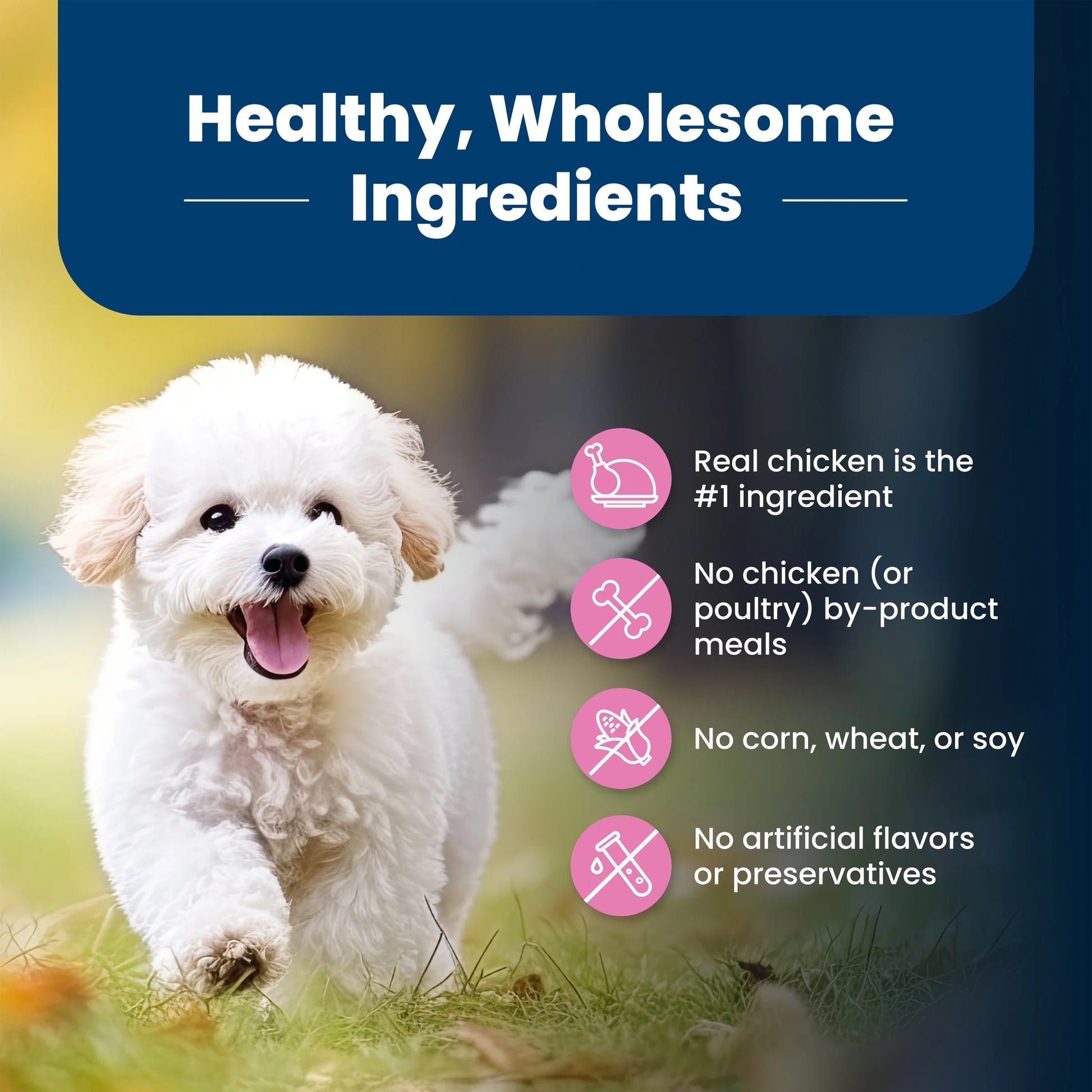 Premium Life Protection Formula Small Breed Dry Dog Food with Chicken & Brown Rice - 5 lbs.