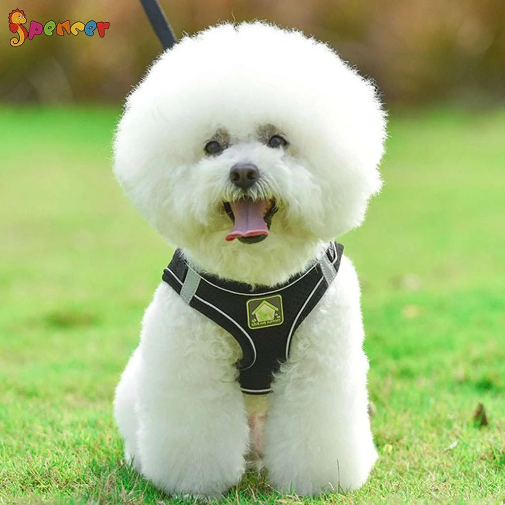 Adjustable No-Pull Pet Harness and Leash Set for Small Dogs and Cats - Reflective Mesh Soft Corduroy for Outdoor Walking and Travel, Pink, Medium