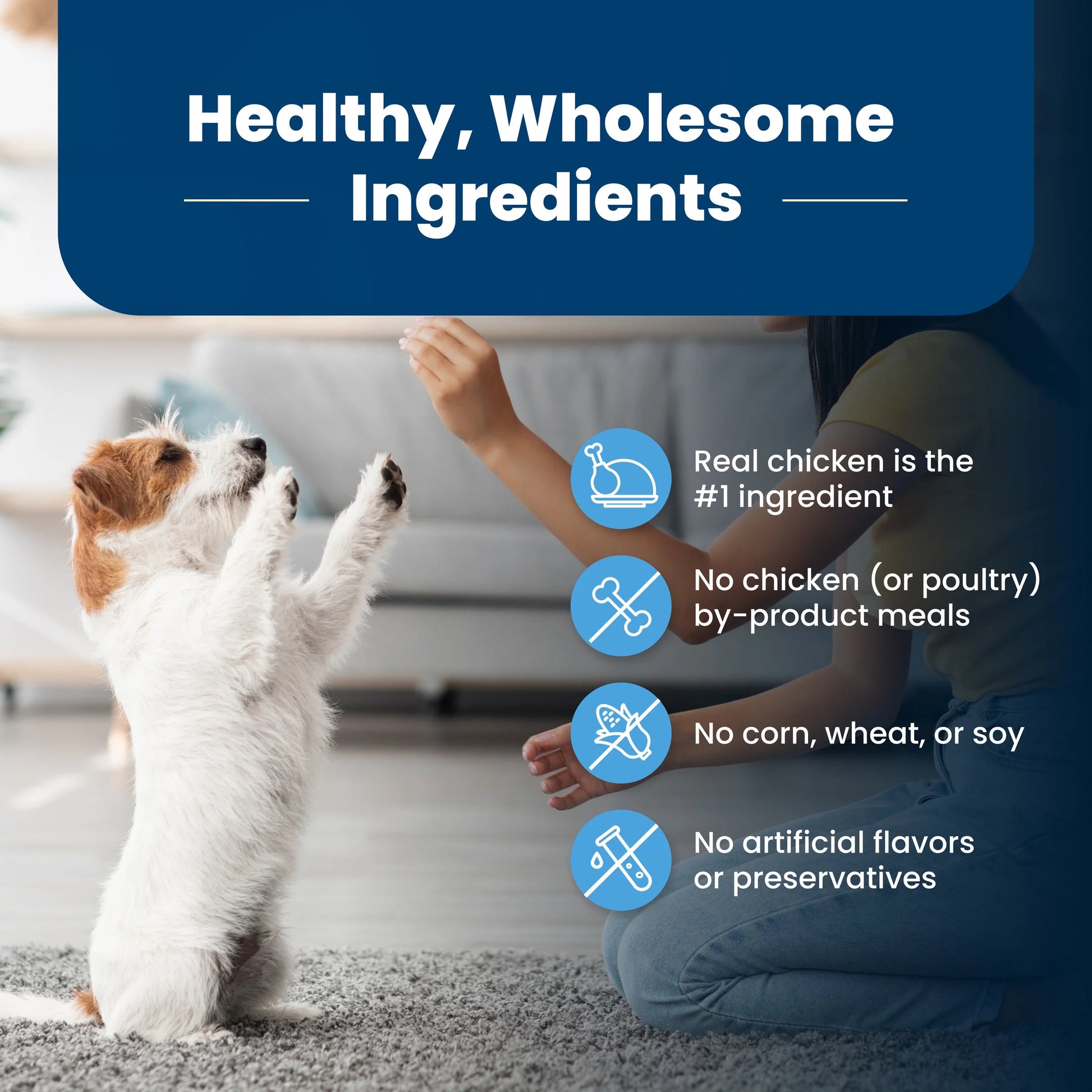 Life Protection Formula Puppy Dry Dog Food with Chicken and Brown Rice, 5 lbs