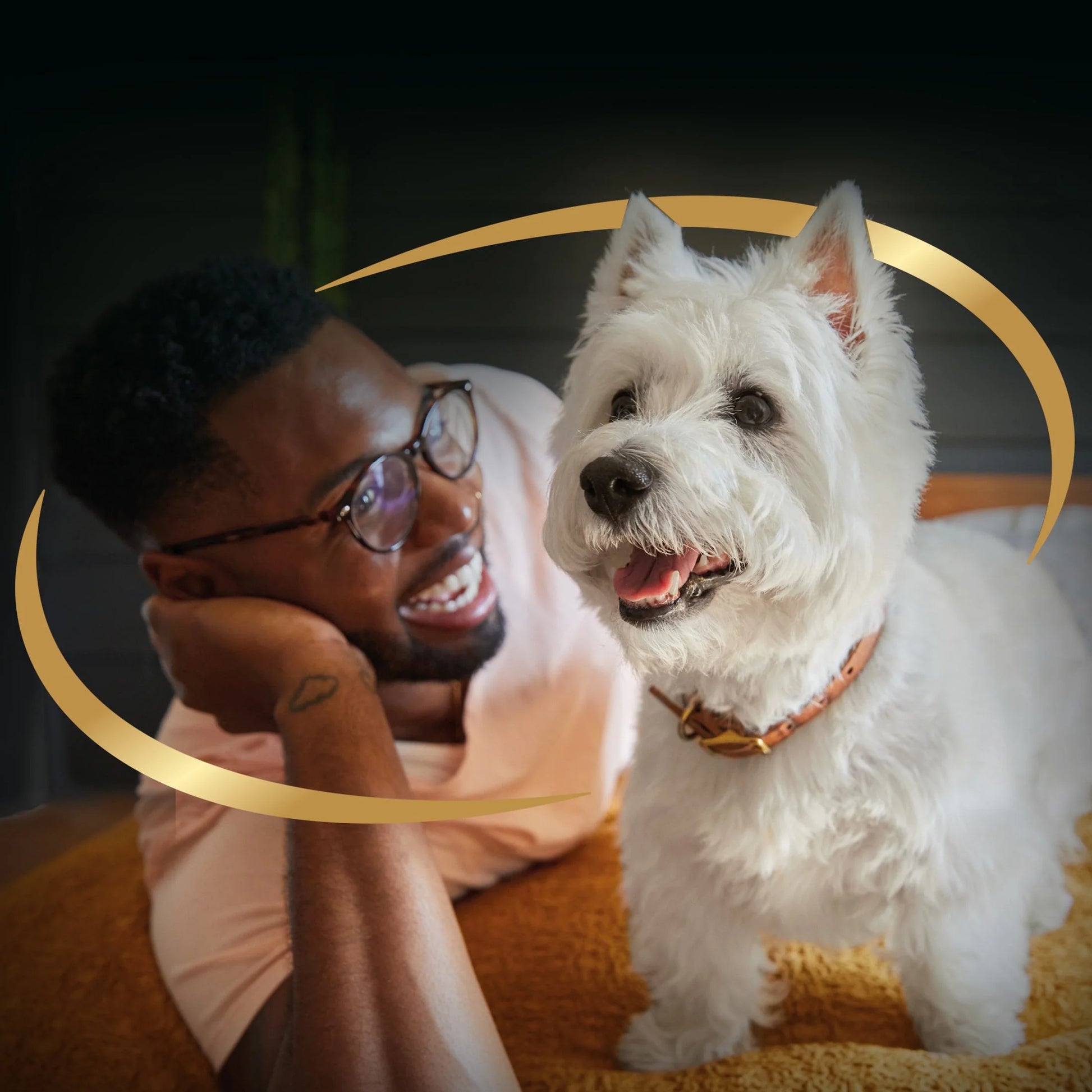 Home Delights Variety Pack Wet Dog Food, 3.5 Oz Trays (24 Count)