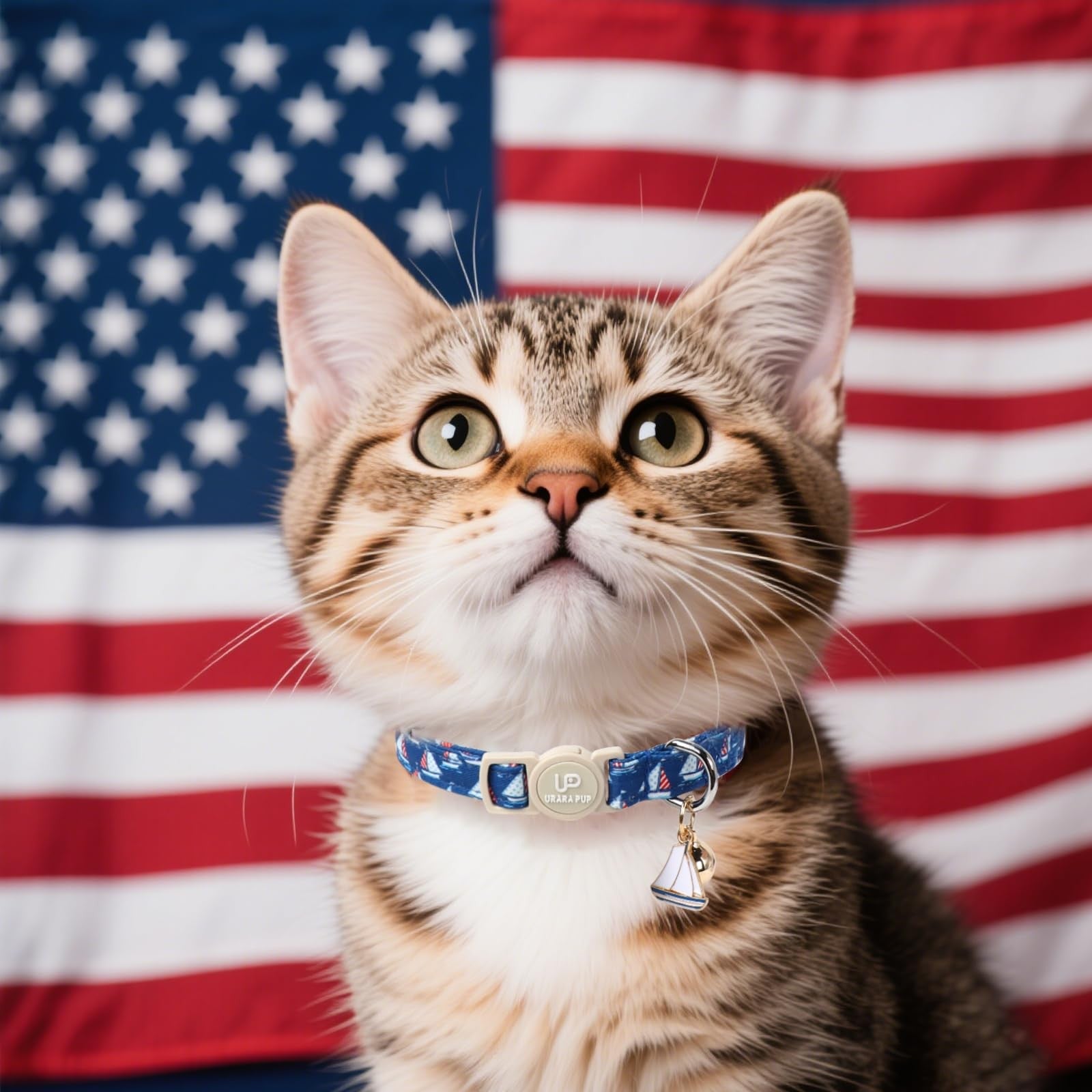 Patriotic 4th of July Cat Collar Set - 2-Pack Breakaway Kitten Collars with Flag Design
