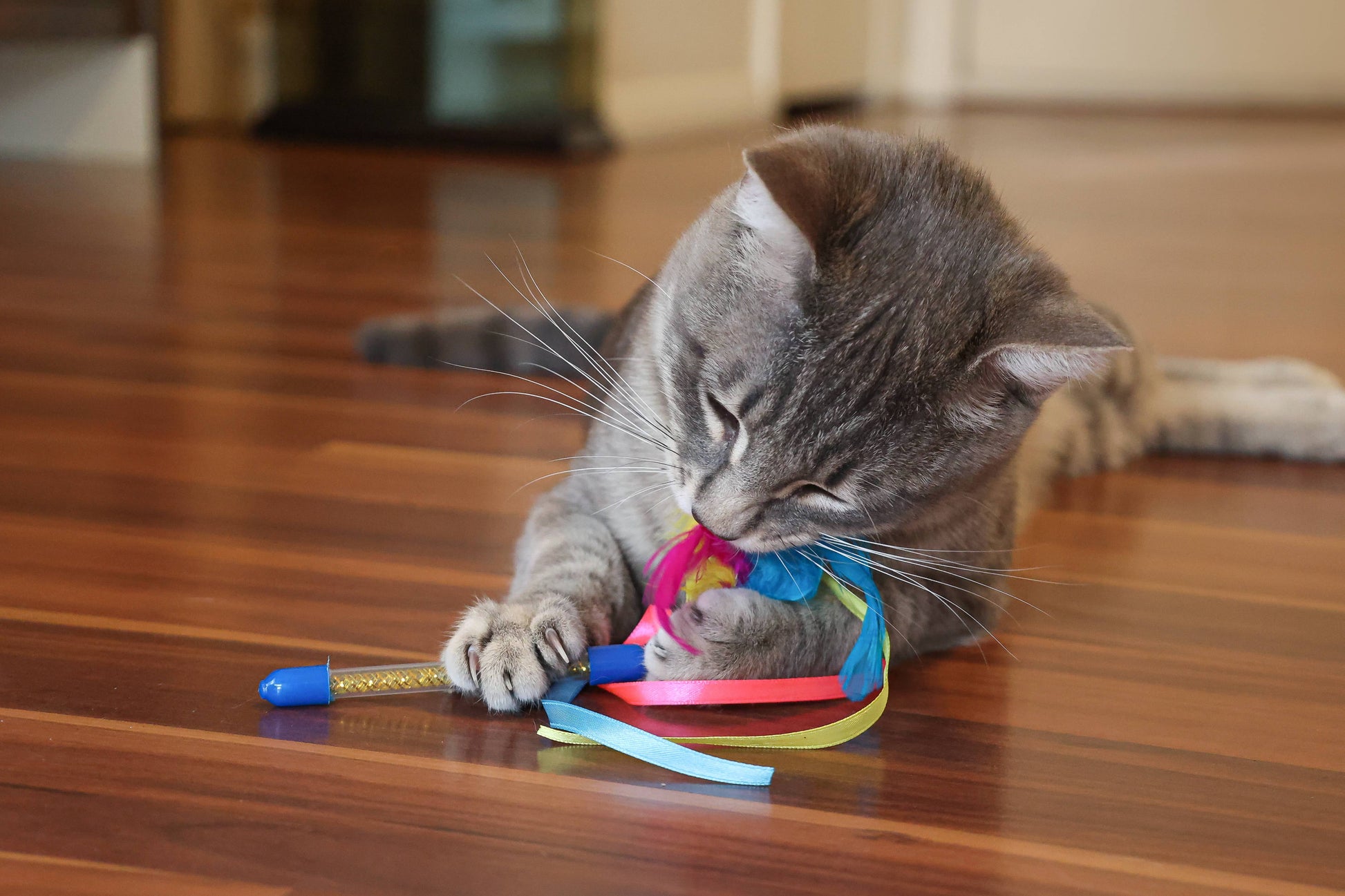 24-Piece Assorted Cat Toy Set