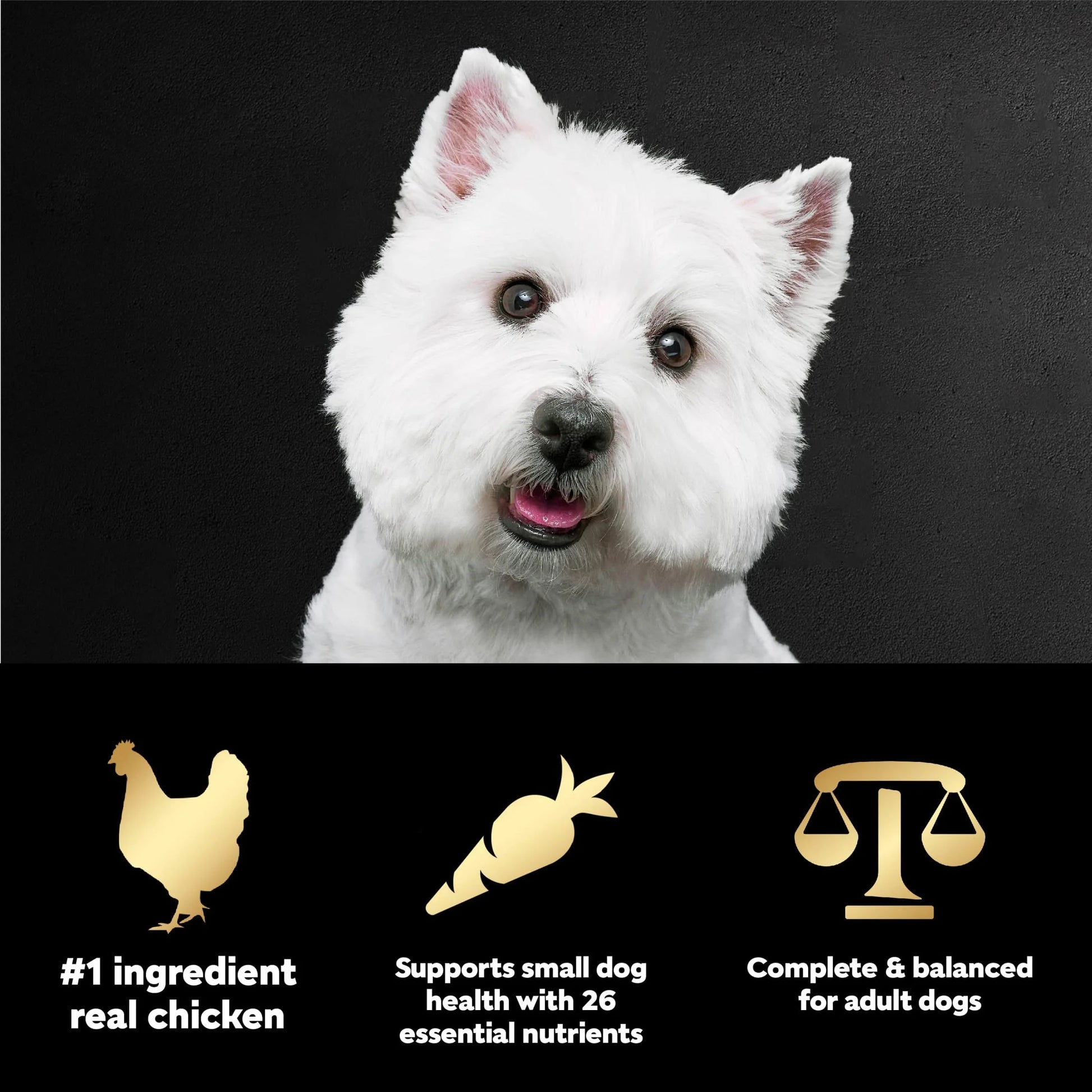 Small Breed Adult Dry Dog Food with Rotisserie Chicken and Spring Vegetables, 5 lb Bag