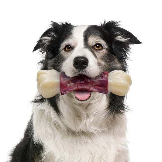Durable Dog Toys for Aggressive Chewers - Large Breed Chew Bones and Toothbrush Toys for Medium to Large Dogs
