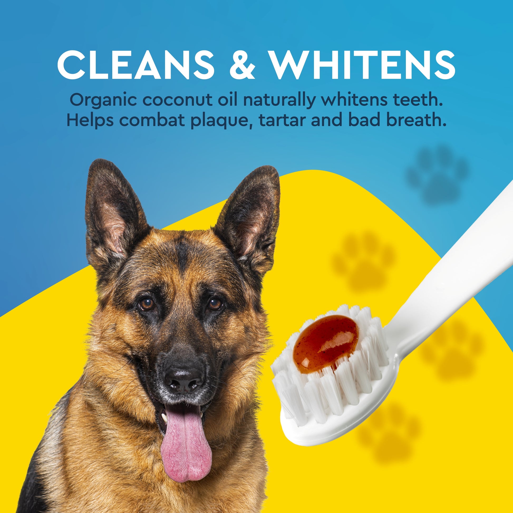All Ages Dog Dental Kit, 1 Toothbrush, 0.8Oz Toothpaste, 1 Recycled Plastic Case, Clean Teeth