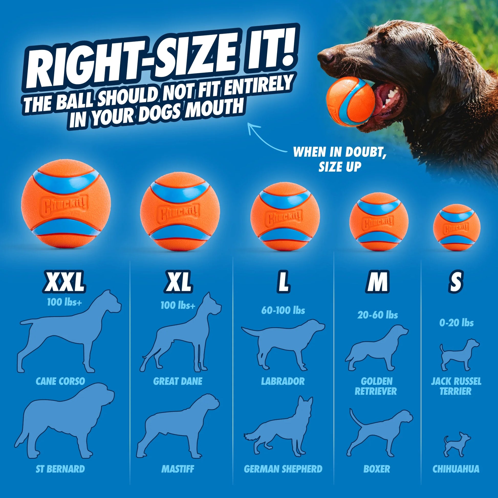 Ultra Ball - Premium Rubber Super Bouncy Dog Toy for Land and Water, 3" Large Size for Dogs Weighing 60 to 100 lbs, Single Pack