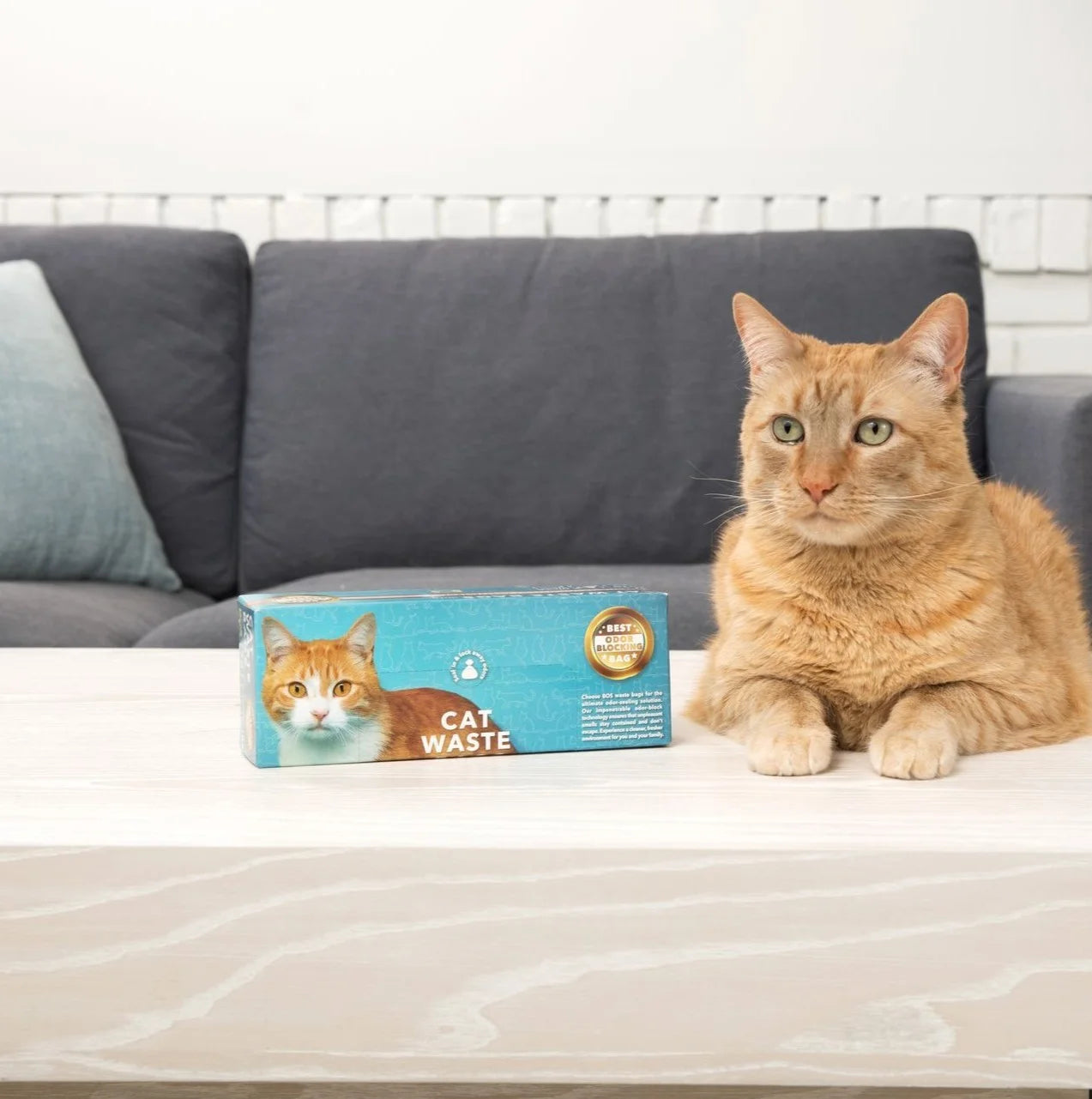 Odor-Sealing Cat Waste Disposal Bags - 90 Scent-Free Bags for Pet Waste and Litter Management