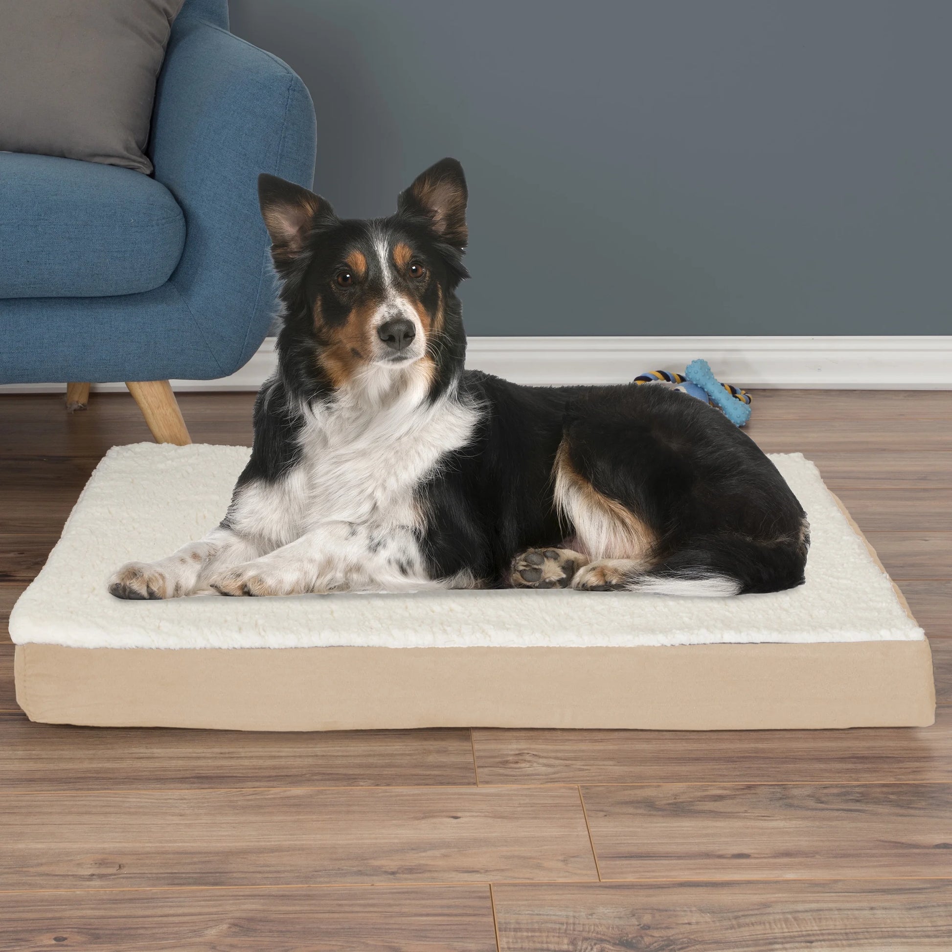 PETMAKER Orthopedic Memory Foam Pet Bed - 36" X 27", Tan