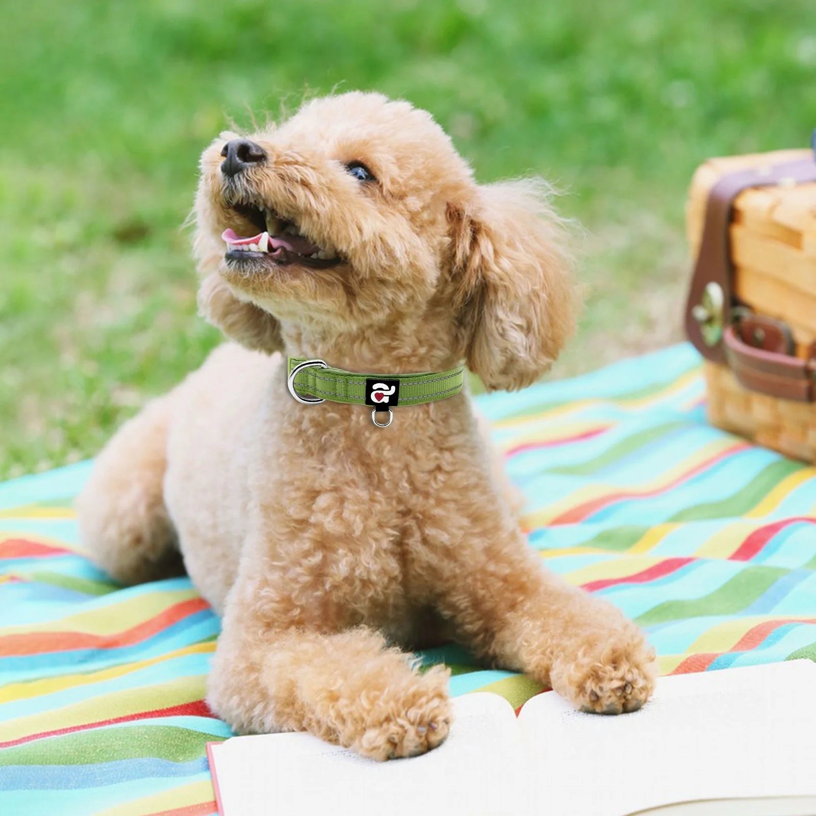 Reflective Dog Collar - Soft Neoprene Padded Adjustable Collar with ID Tag Ring for Puppies and Small Dogs, Army Green, XS