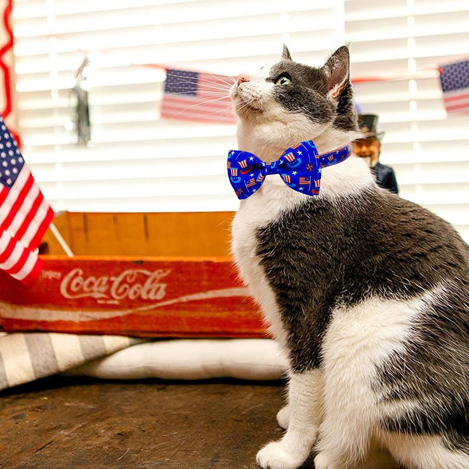 4Th of July Cat Bow Tie Collar with Bell, Independence