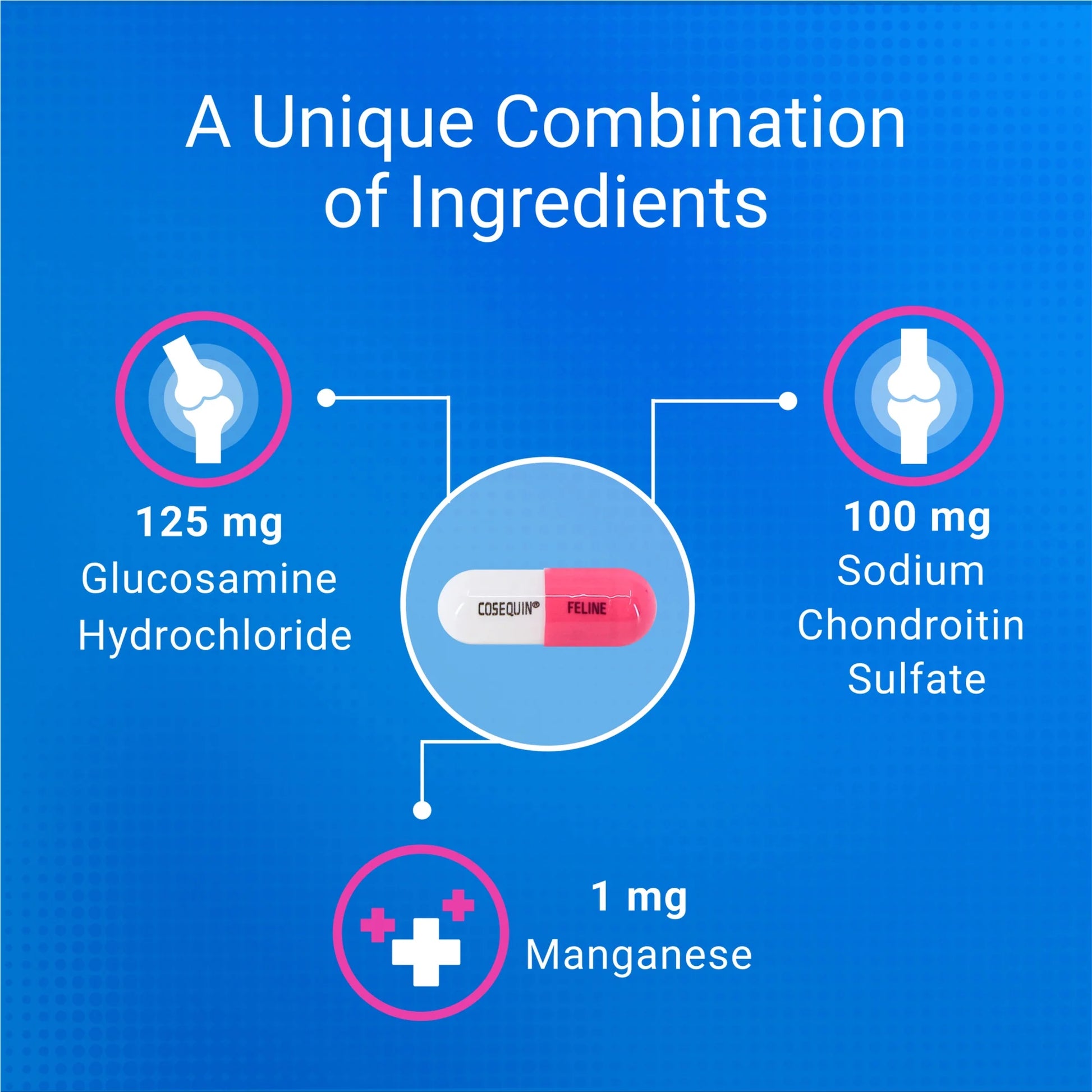 Nutramax Cosequin for Cats Joint Health Supplement, Contains Glucosamine for Cats, Sprinkle Capsules, 30 Count