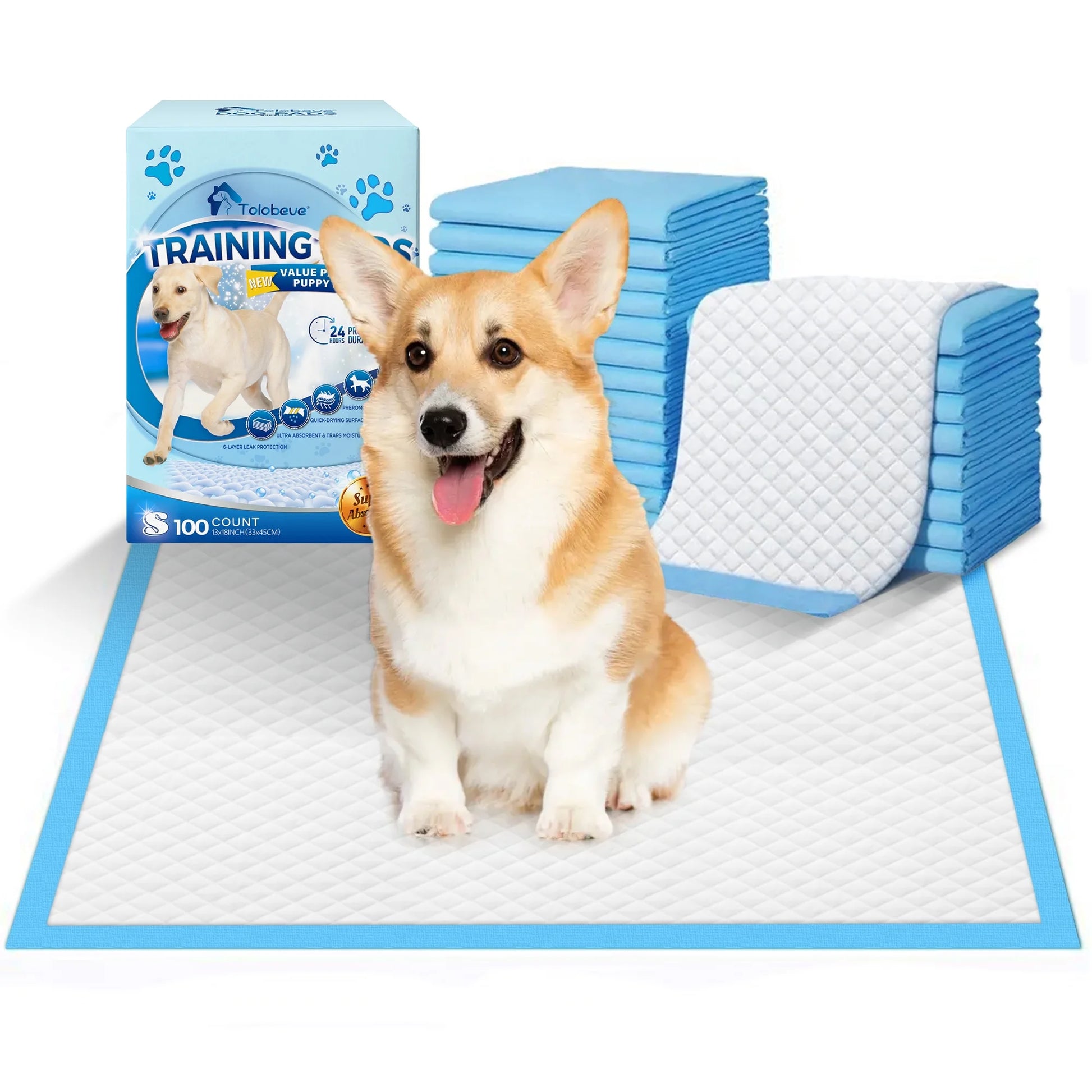 Training Pads, Dog & Puppy Pads,S, 13X18 In,100 Count,Disposable Dog Pee Pads