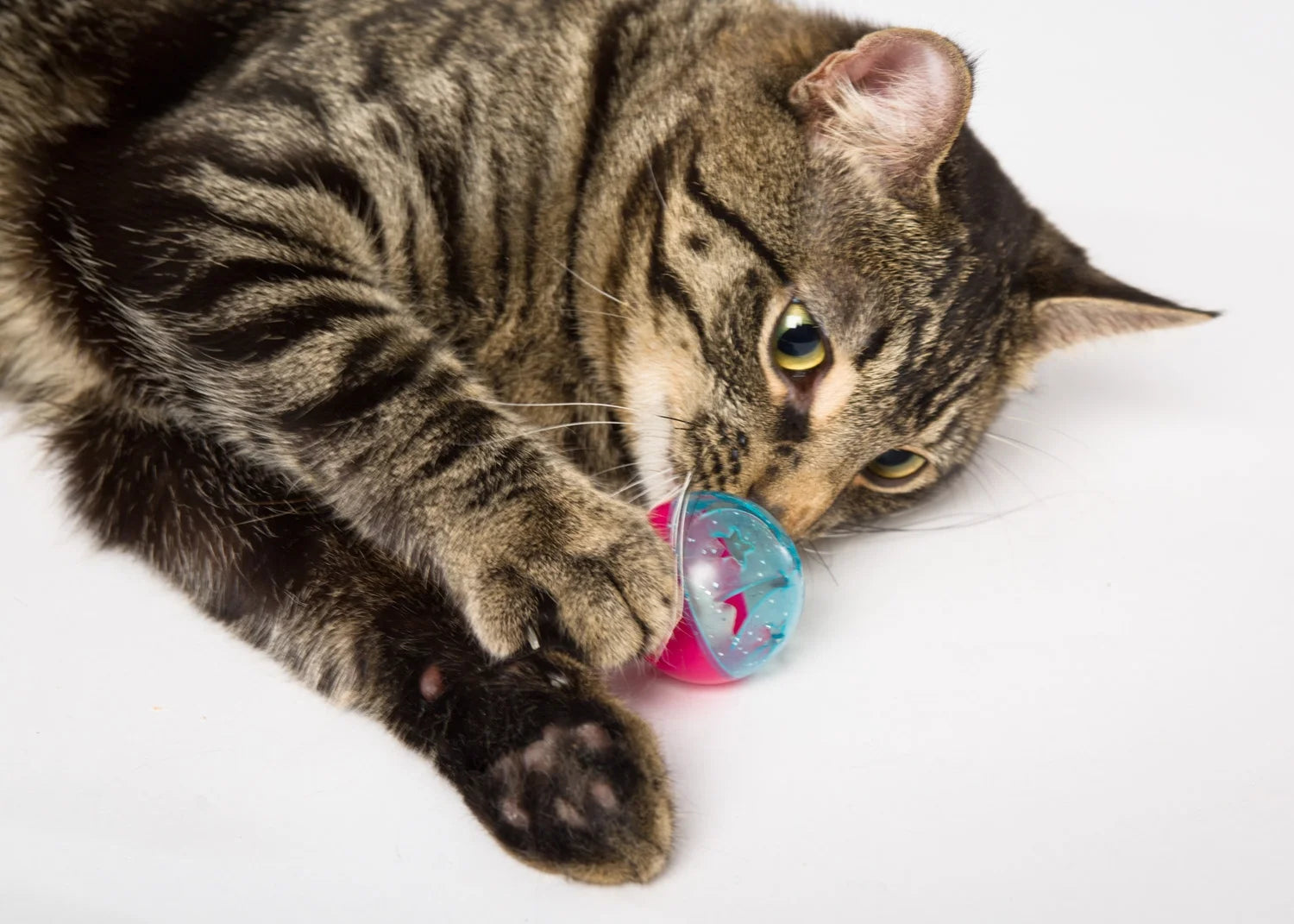 Bizzy Balls Cat Toy - Single Unit