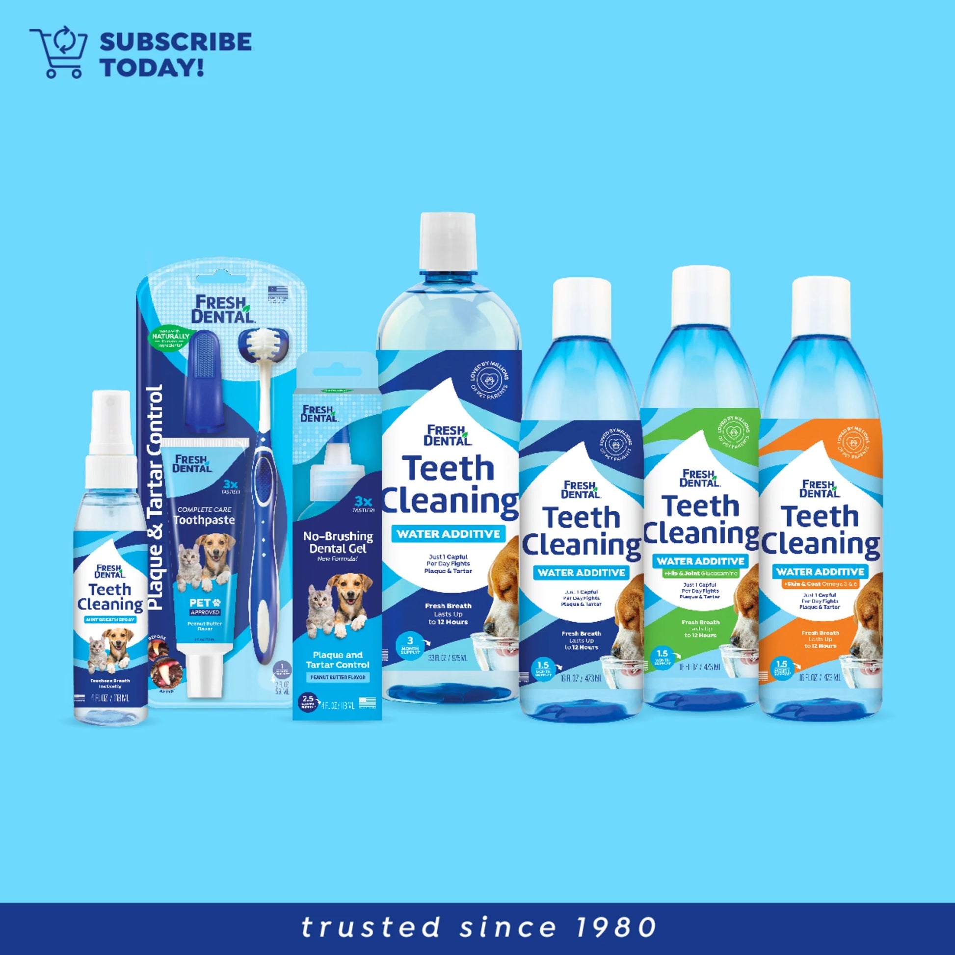 Fresh Dental Breath Freshener & Teeth Cleaning Water Additive for Dogs, 16 Oz Bottle